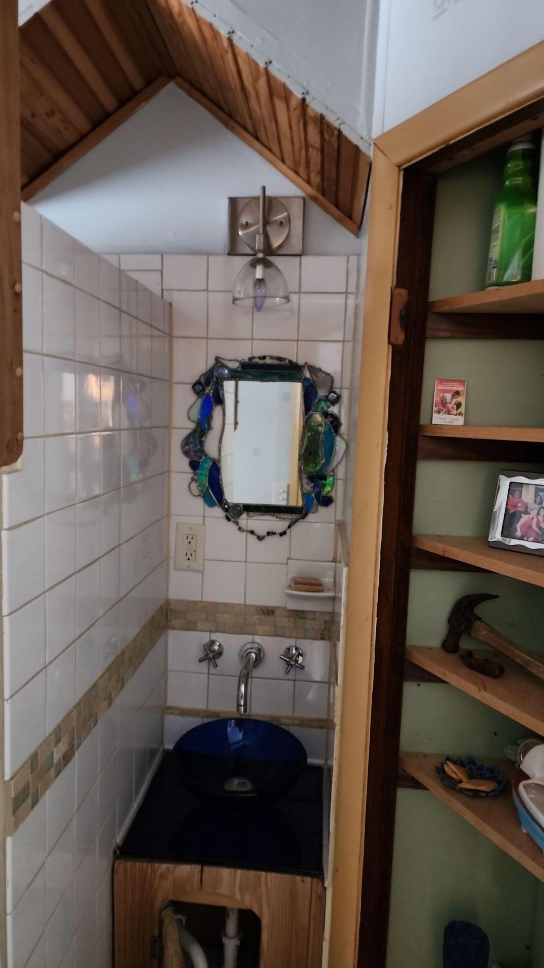 Mold Remediation