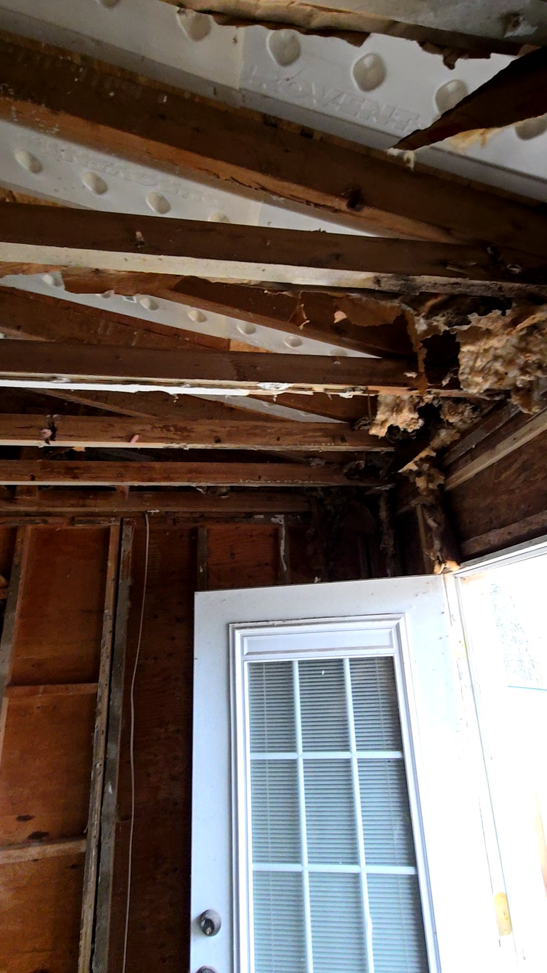 Mold Remediation