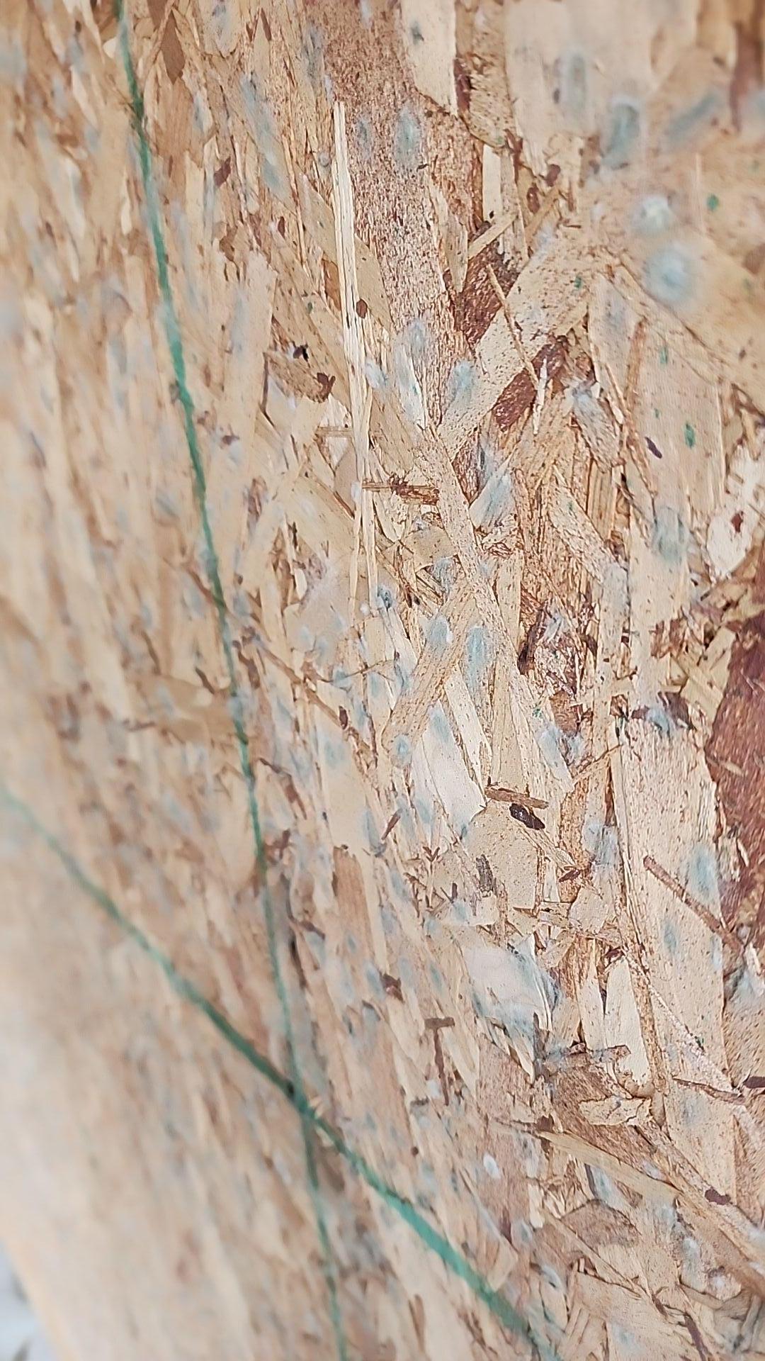 Mold Remediation