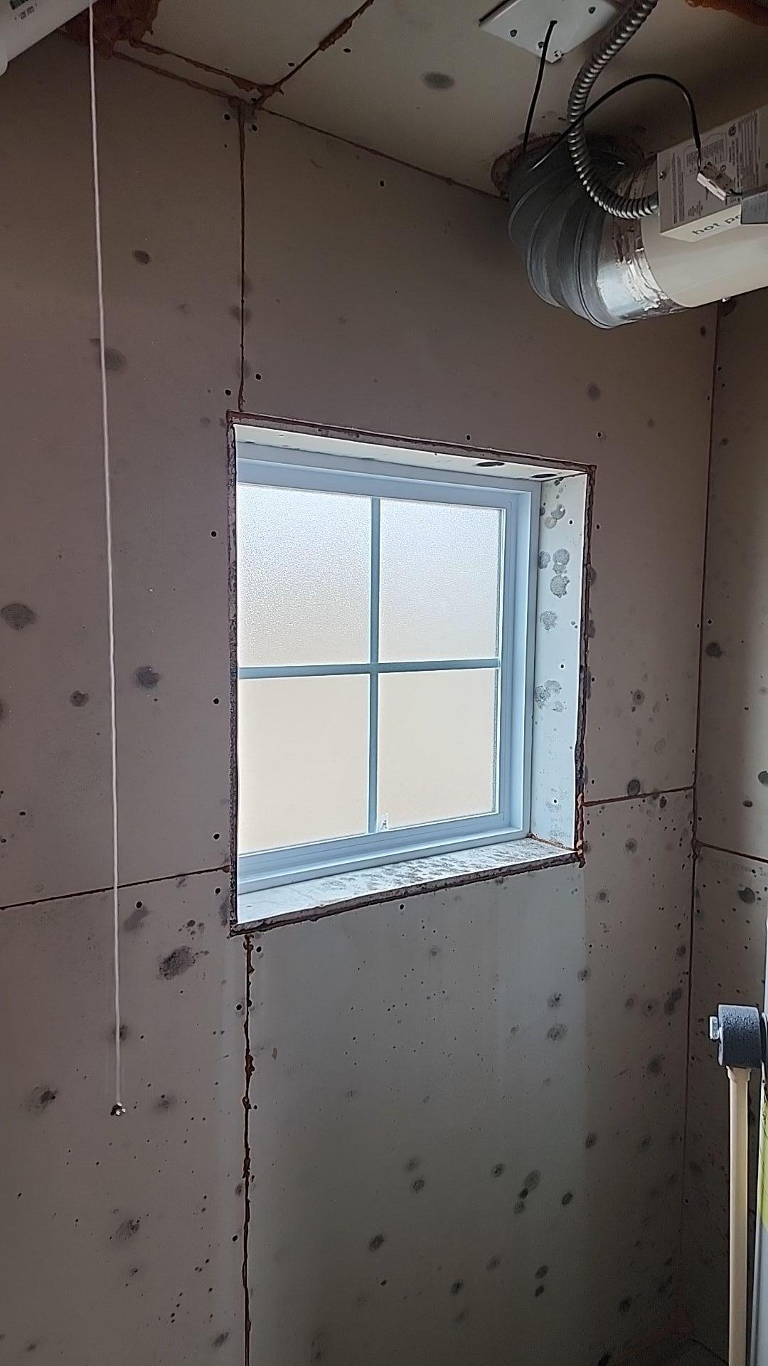 Mold Remediation