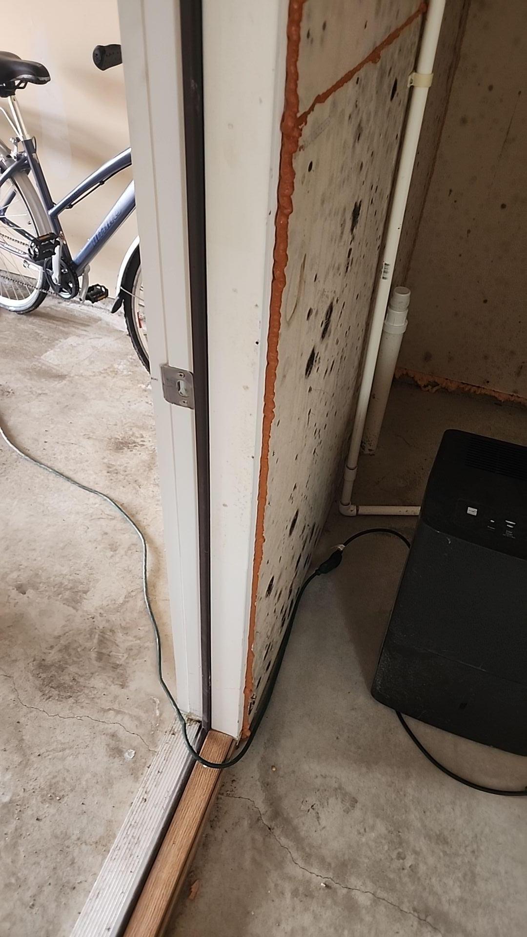 Mold Remediation