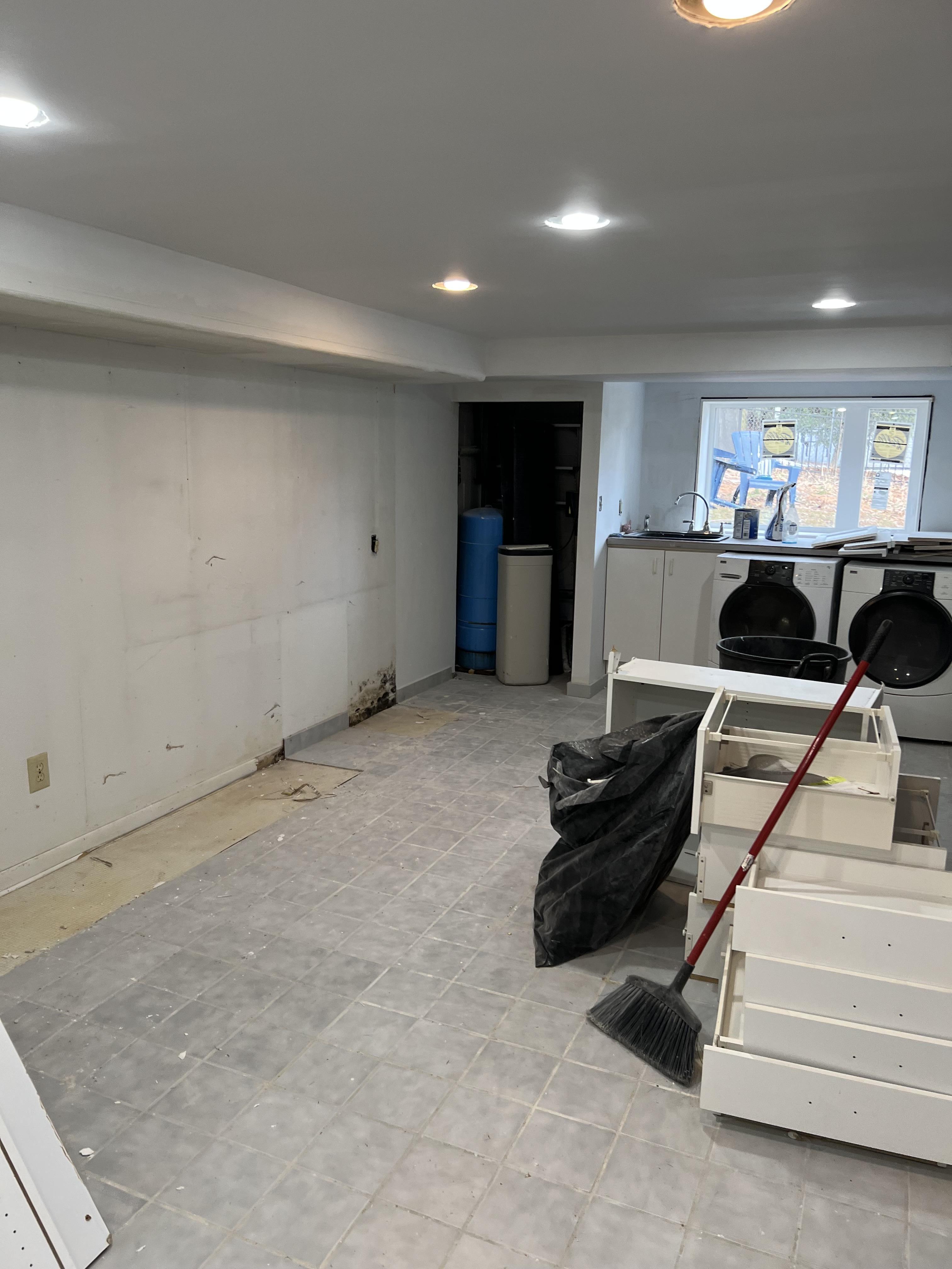 Mold Remediation