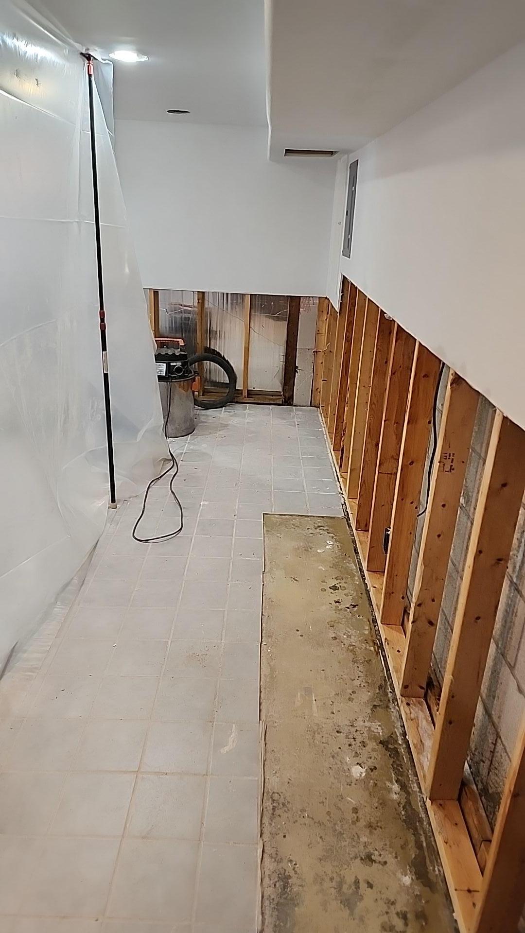 Mold Remediation