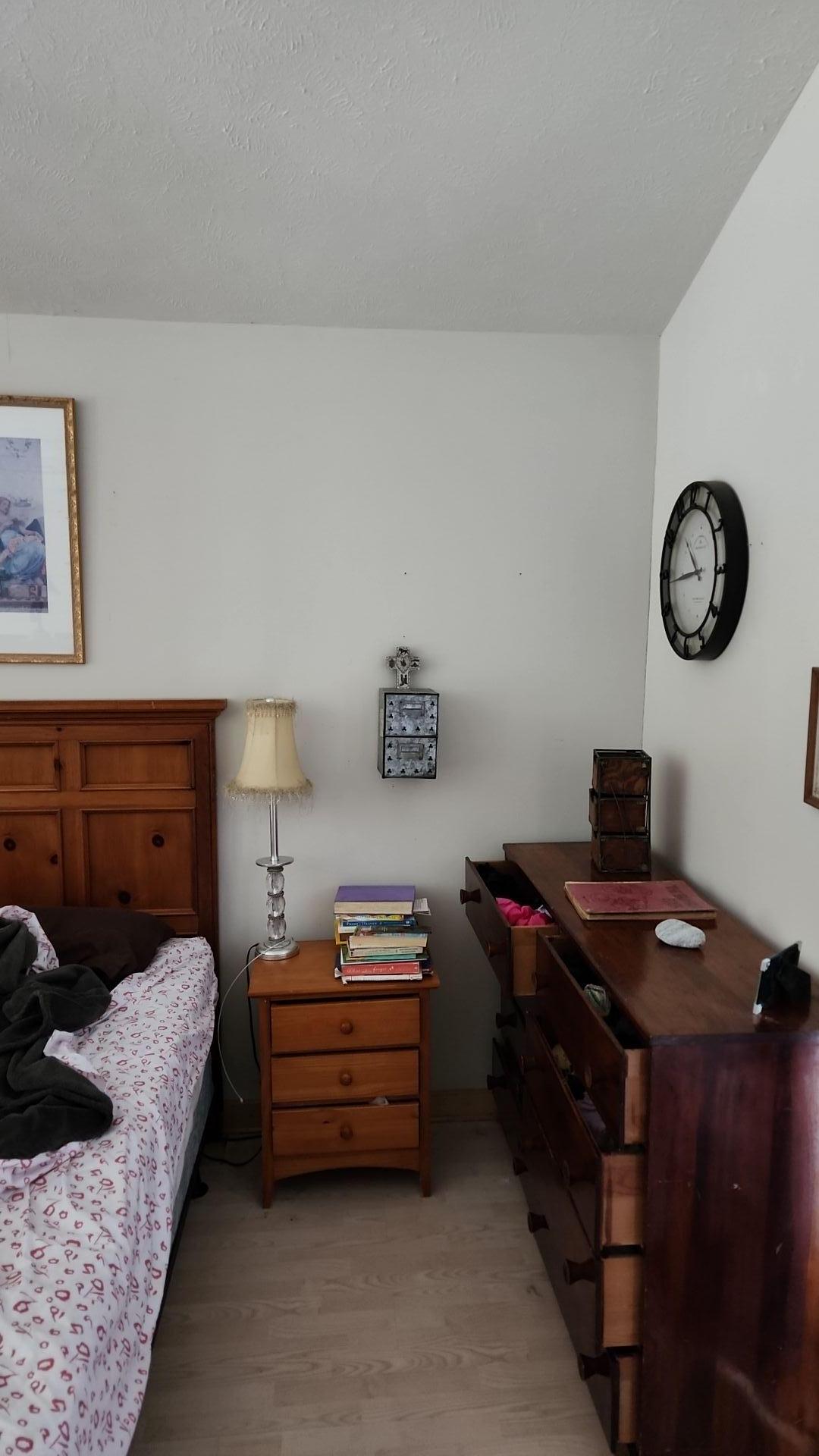 Mold Remediation
