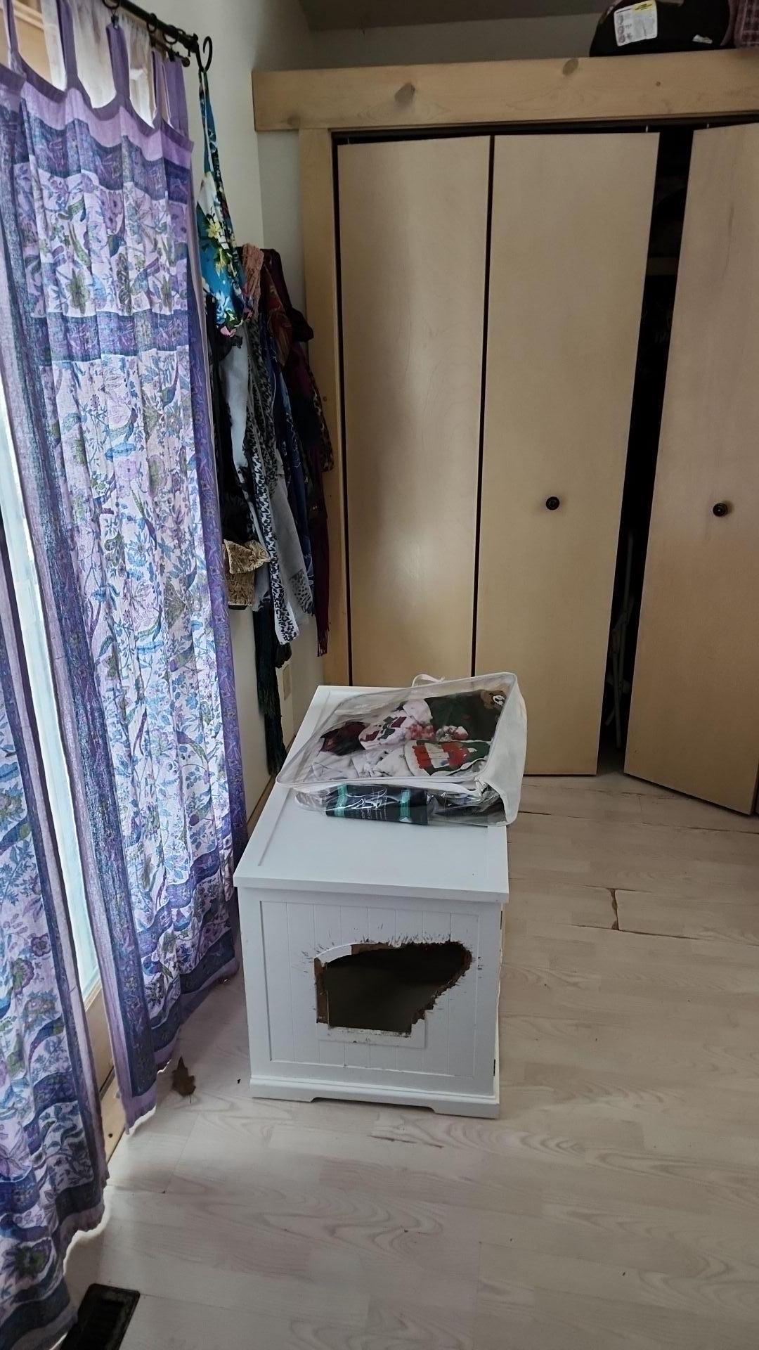 Mold Remediation