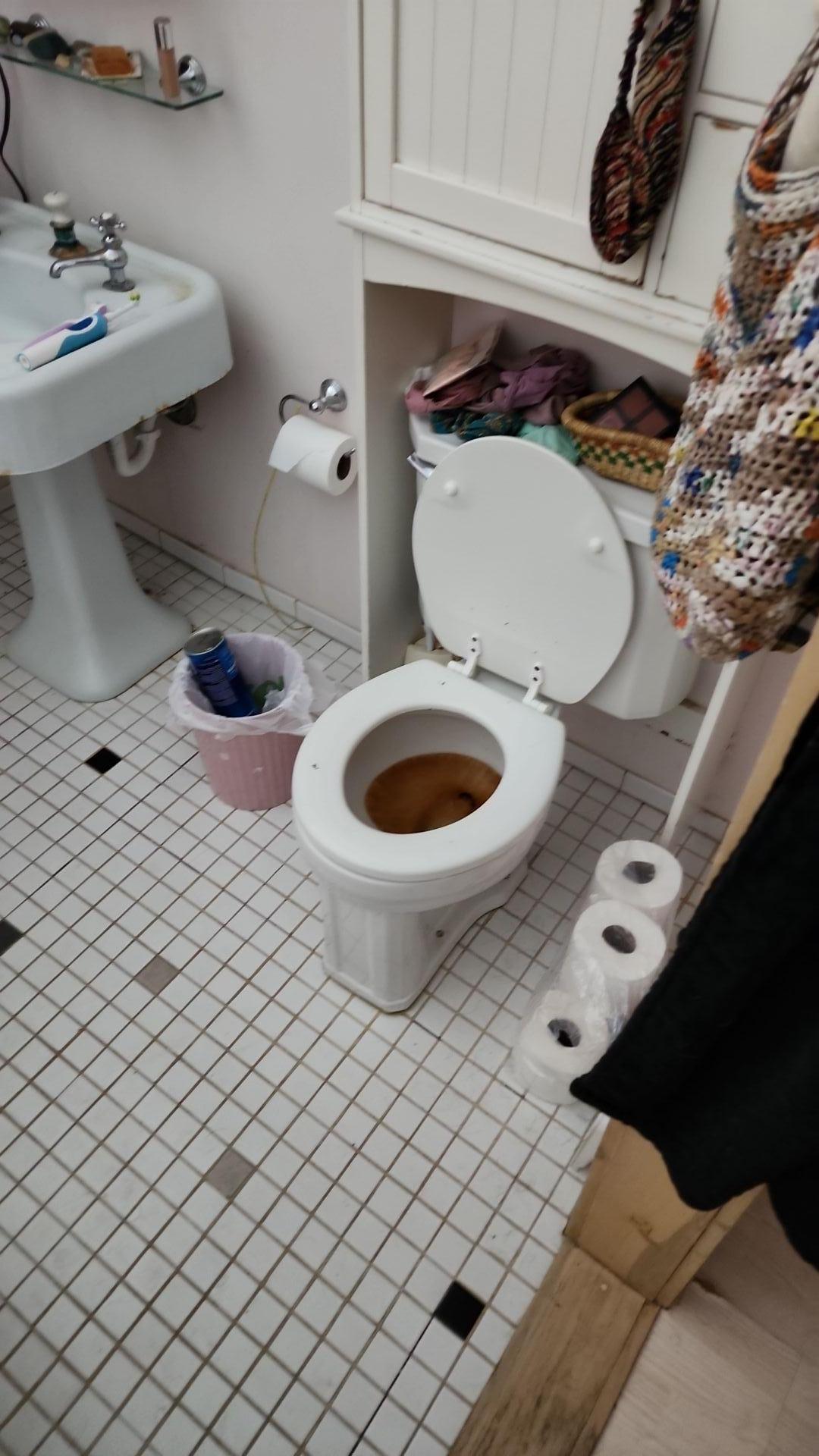 Mold Remediation