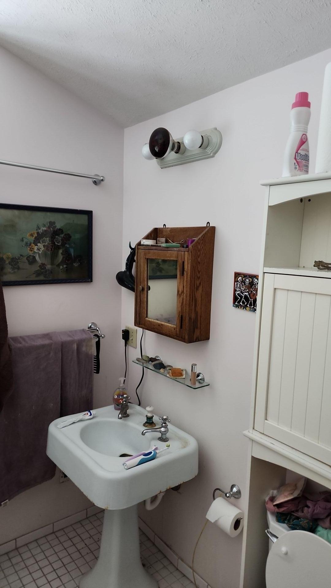 Mold Remediation