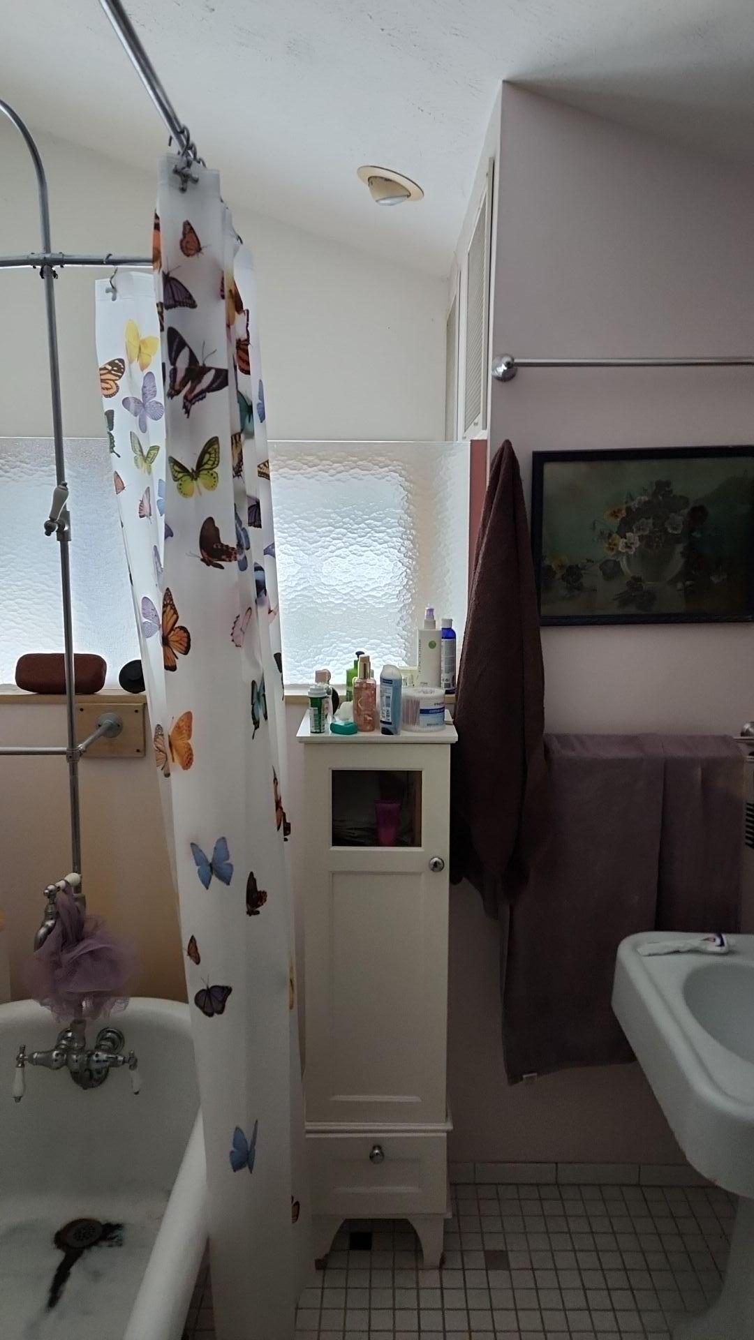 Mold Remediation