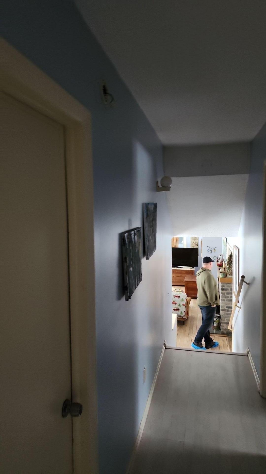 Mold Remediation