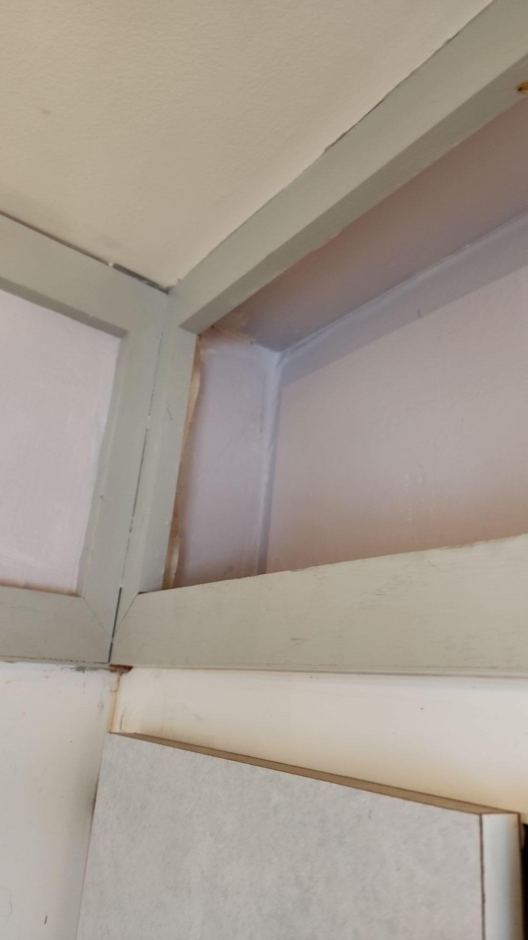 Mold Remediation