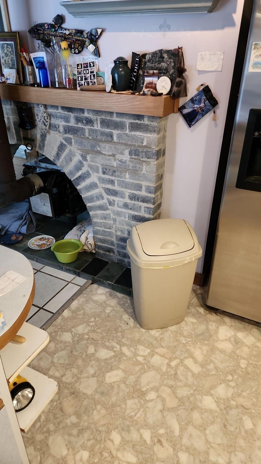 Mold Remediation