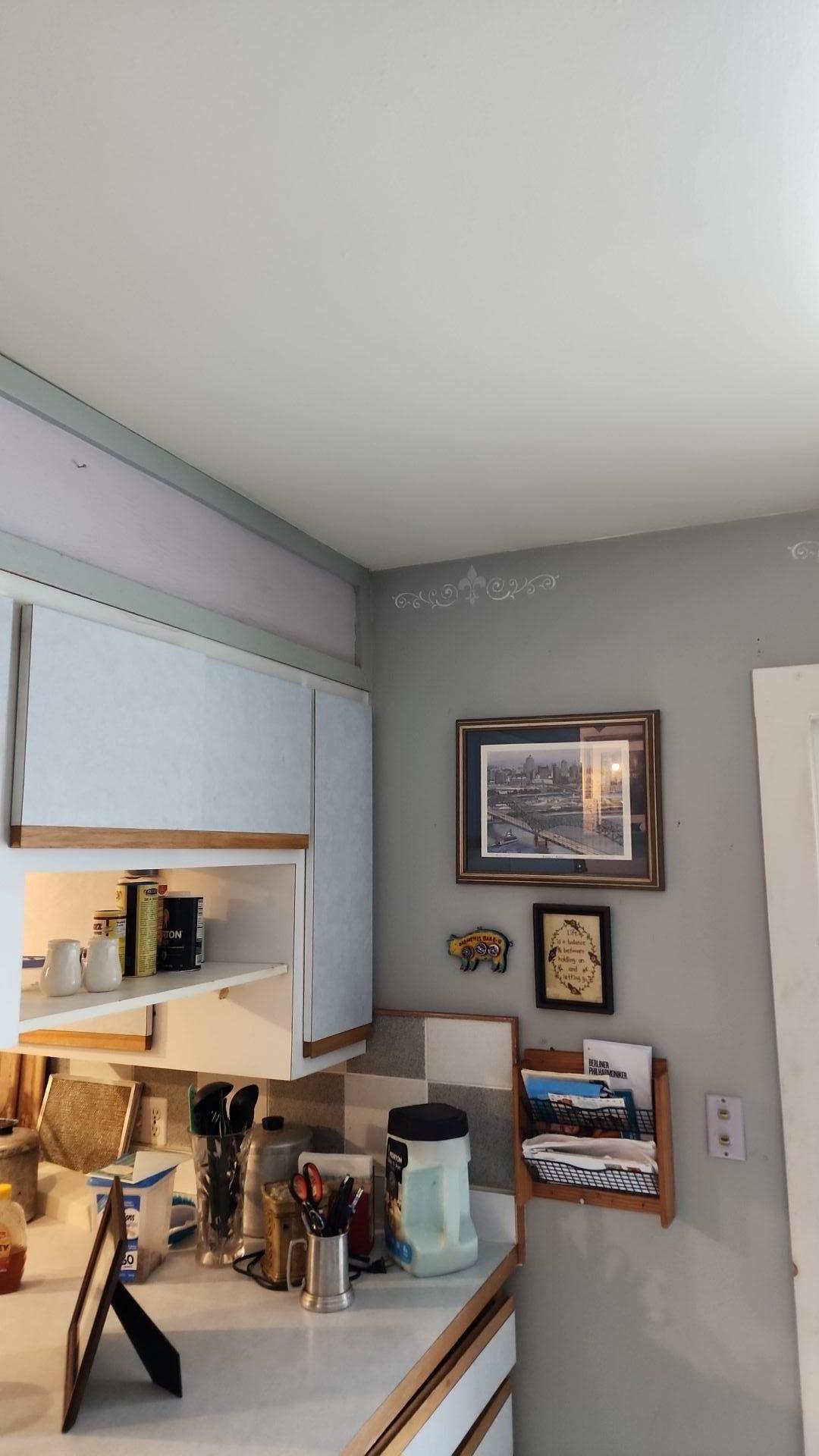 Mold Remediation