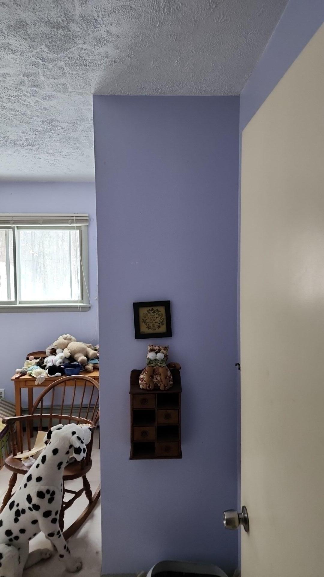 Mold Remediation