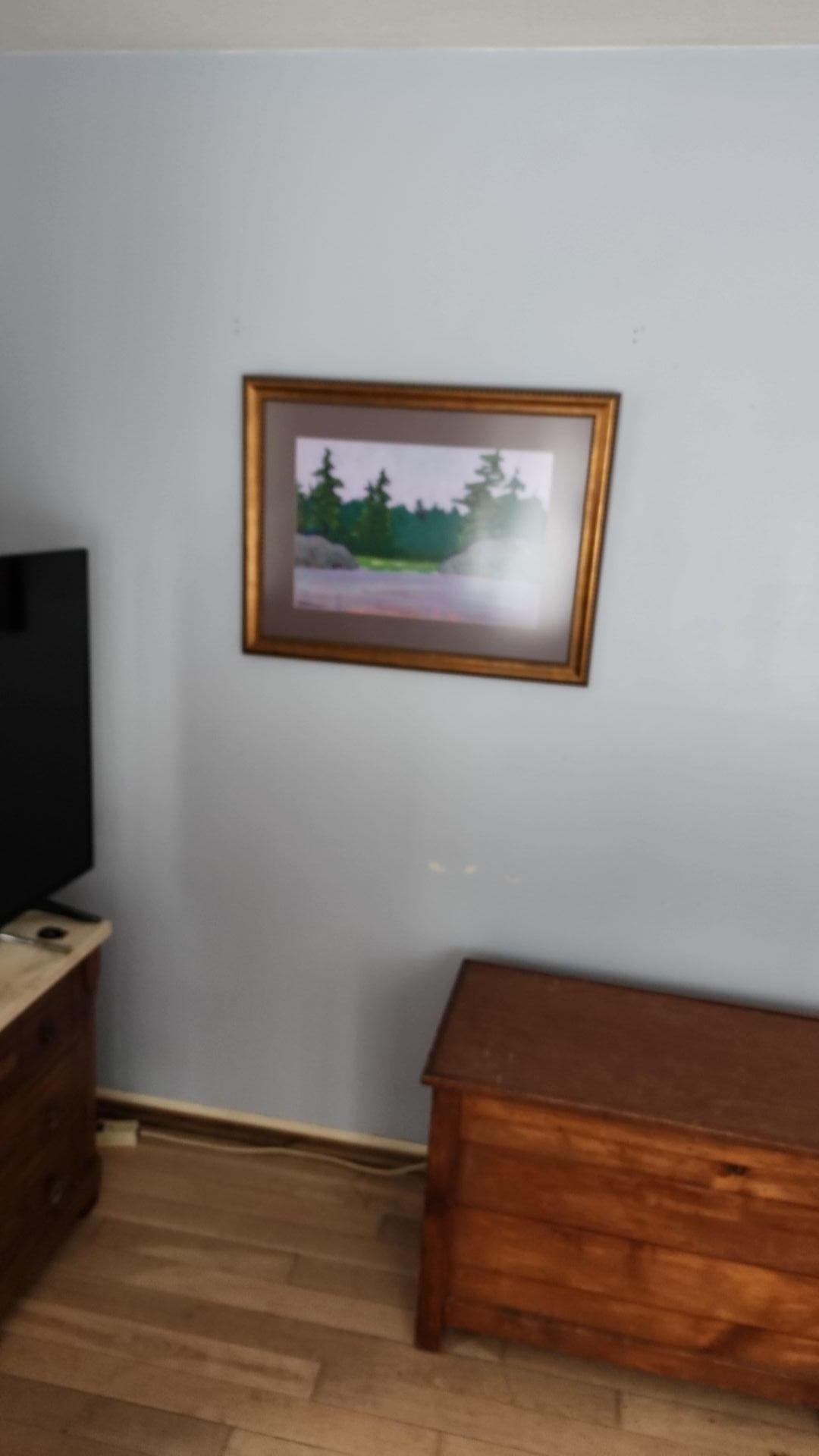 Mold Remediation