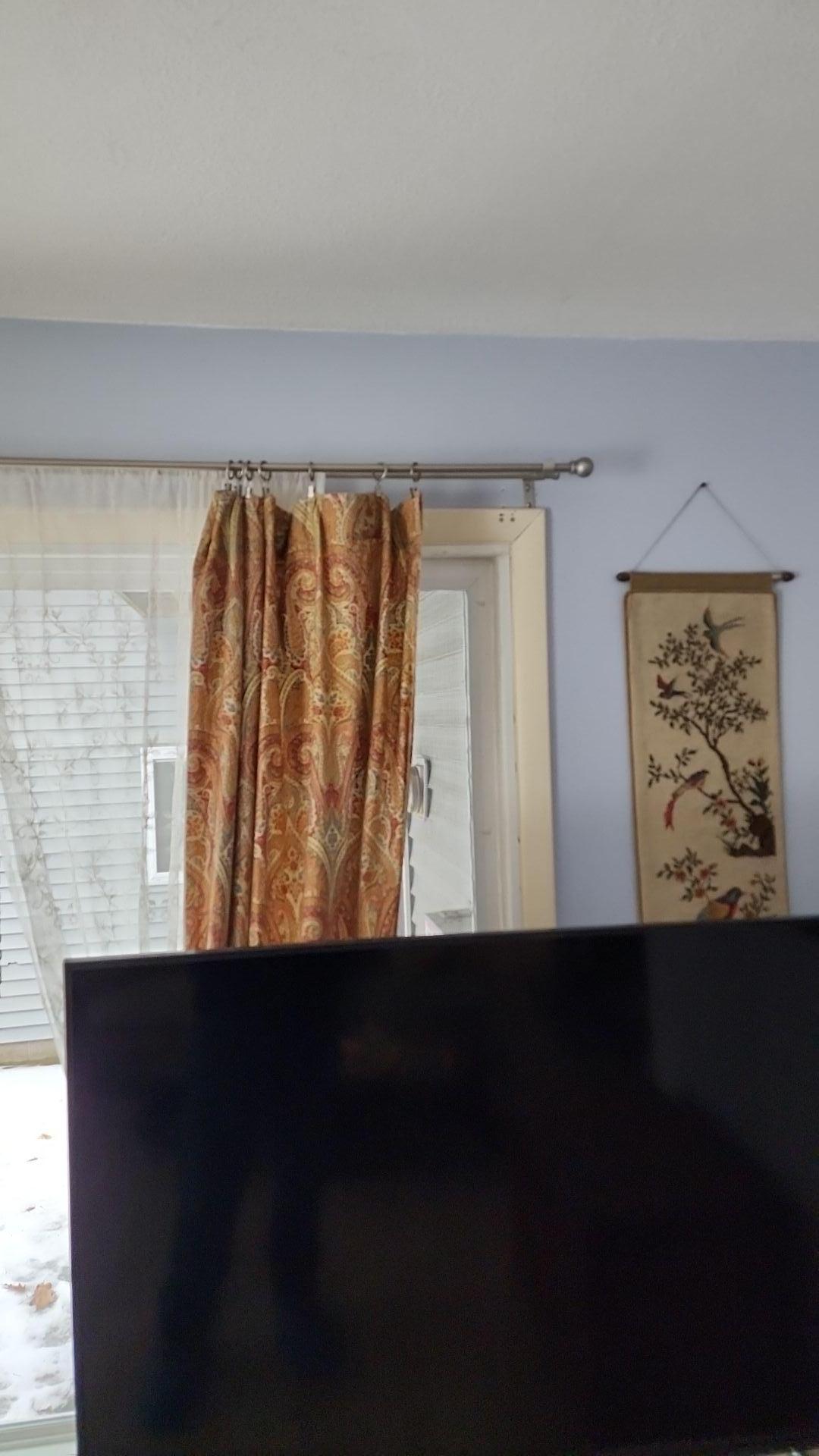 Mold Remediation