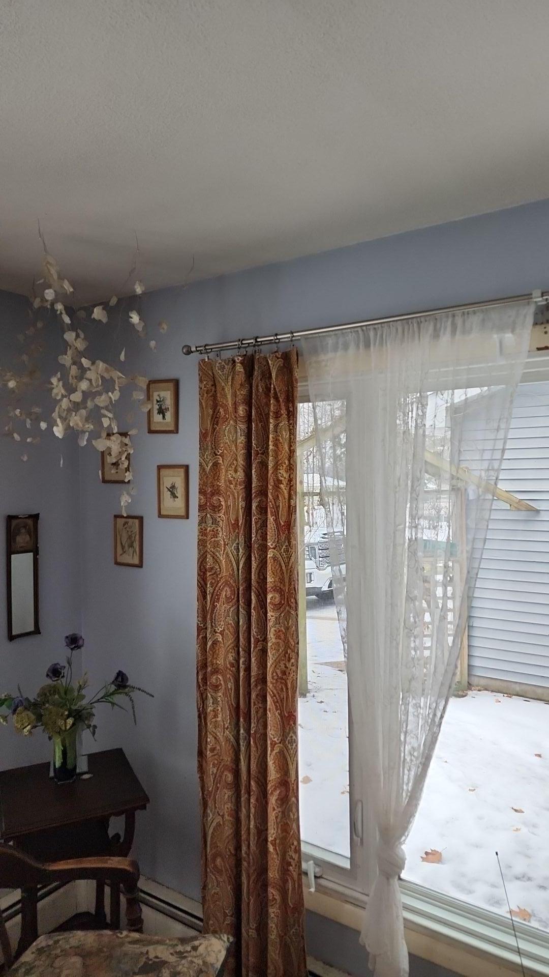 Mold Remediation