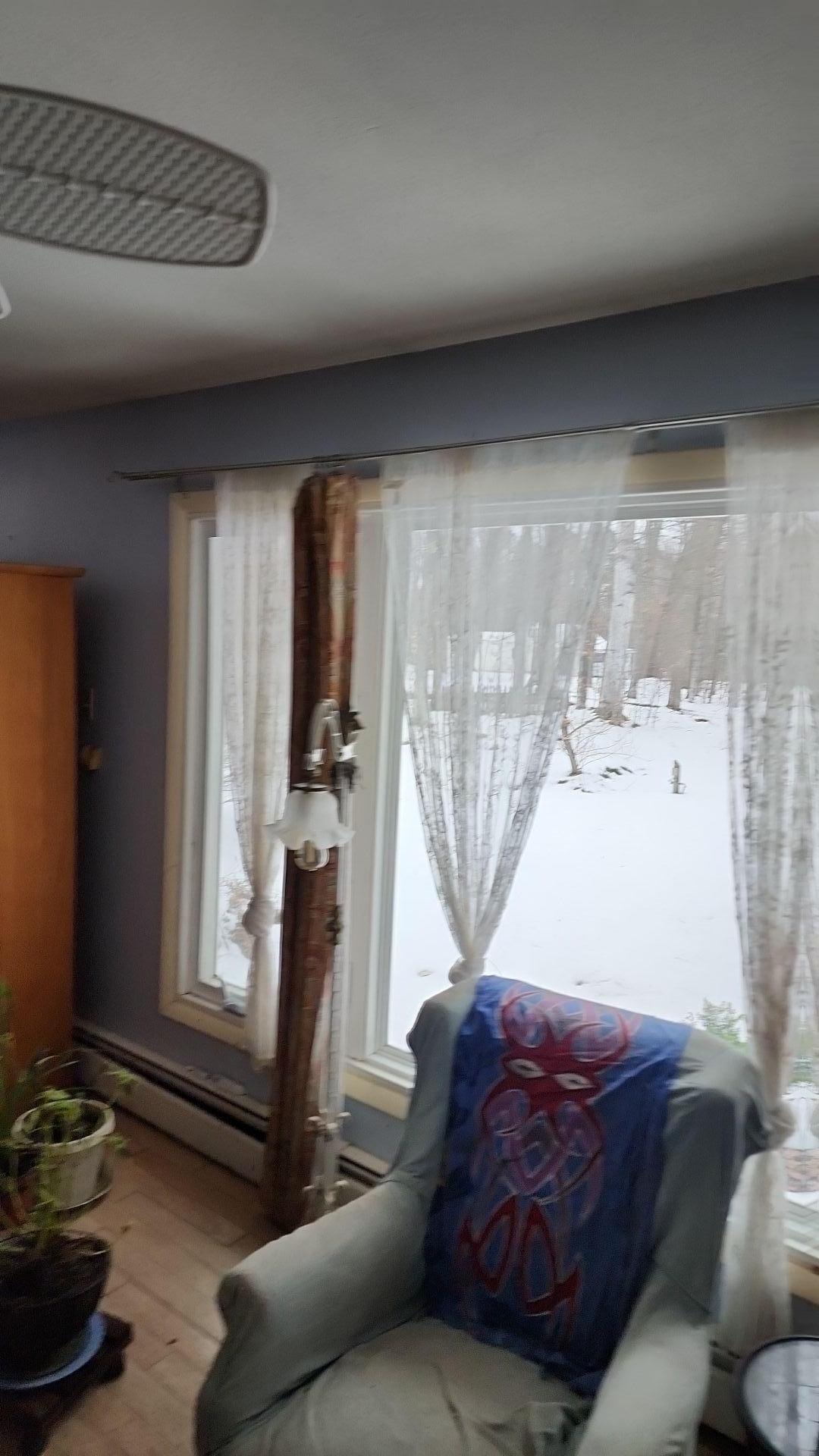 Mold Remediation