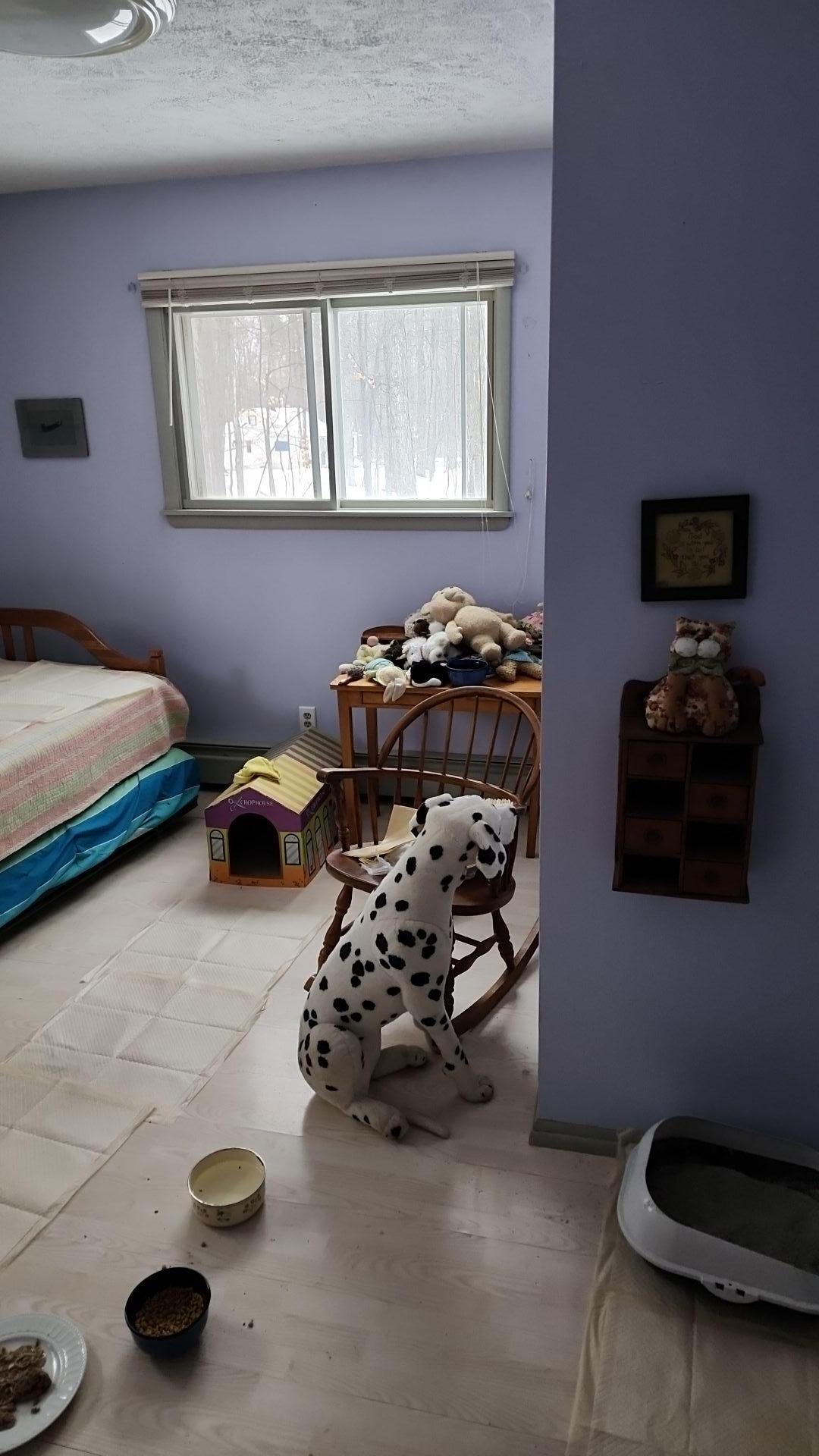 Mold Remediation