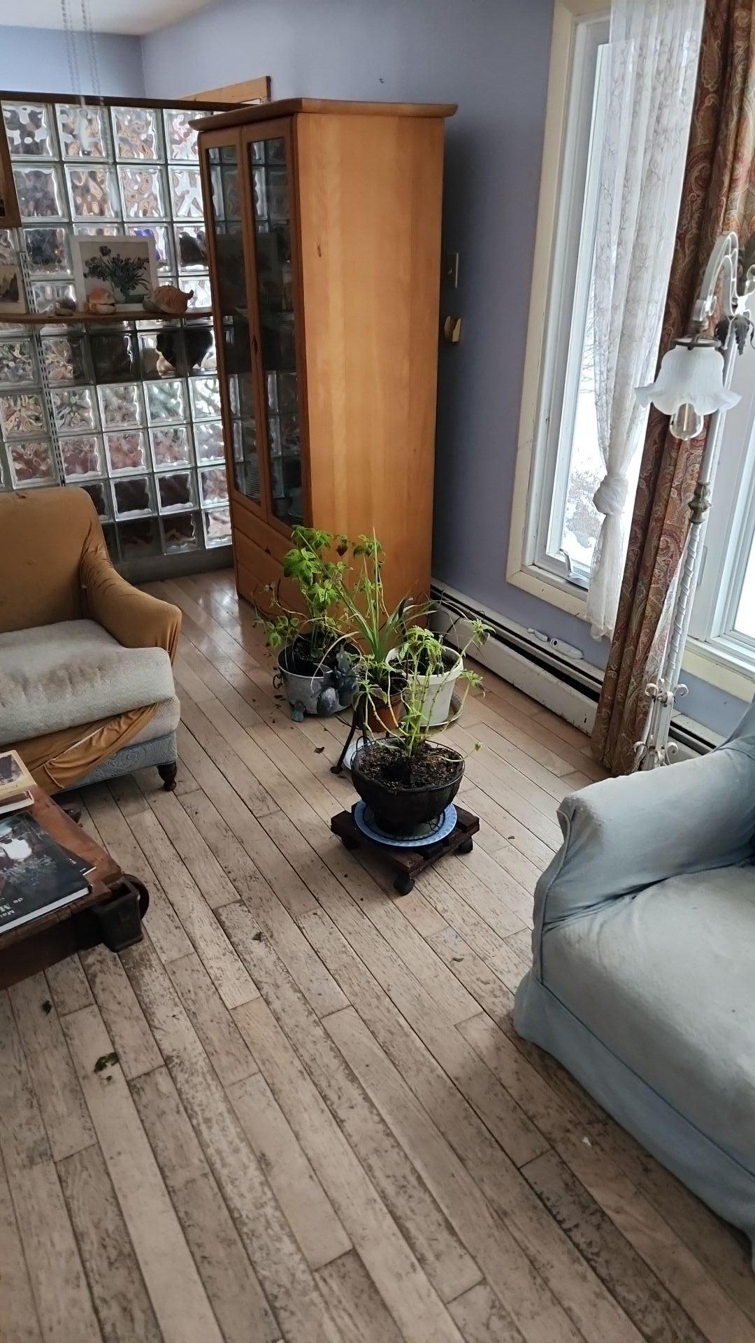 Mold Remediation