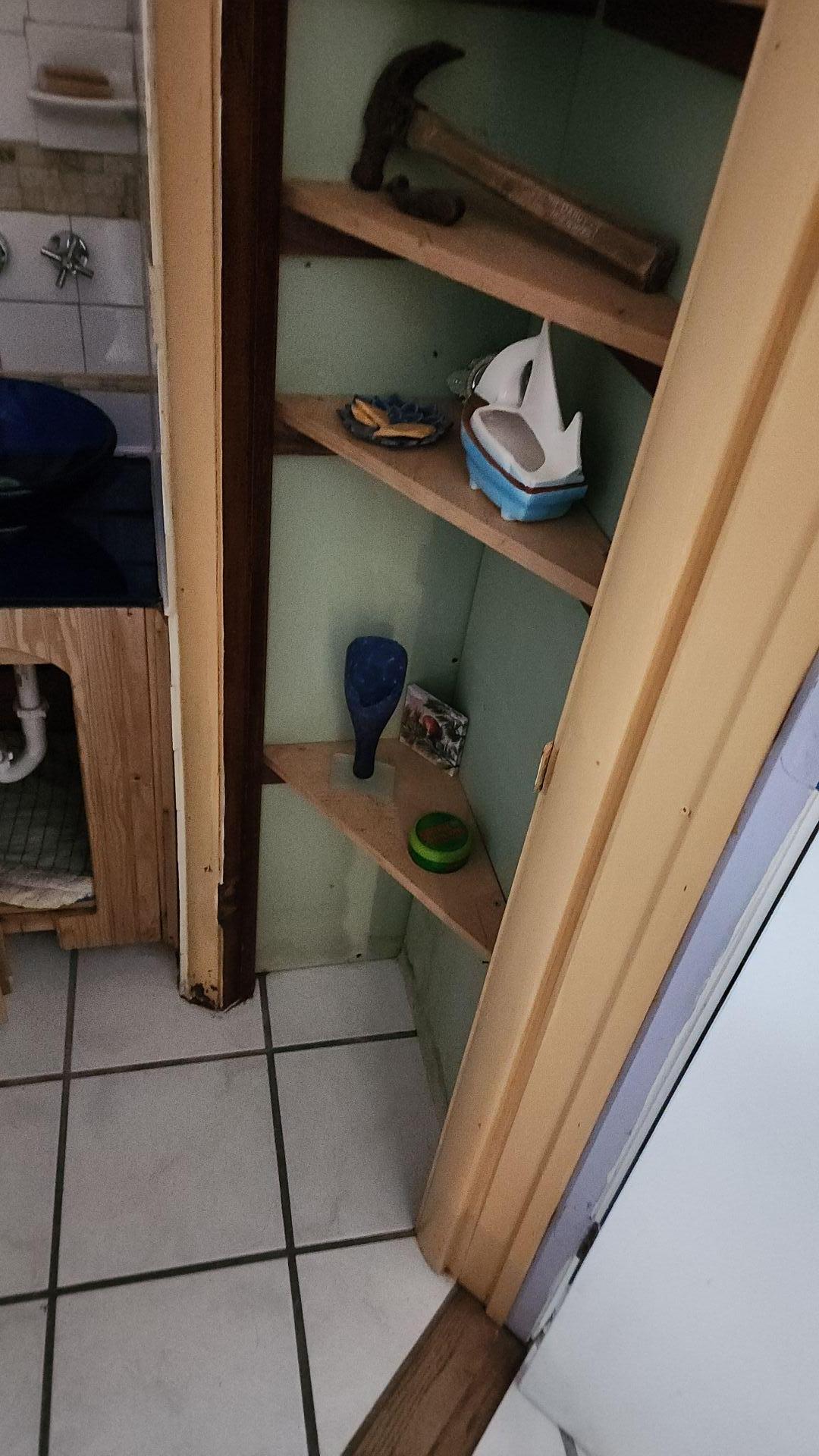 Mold Remediation