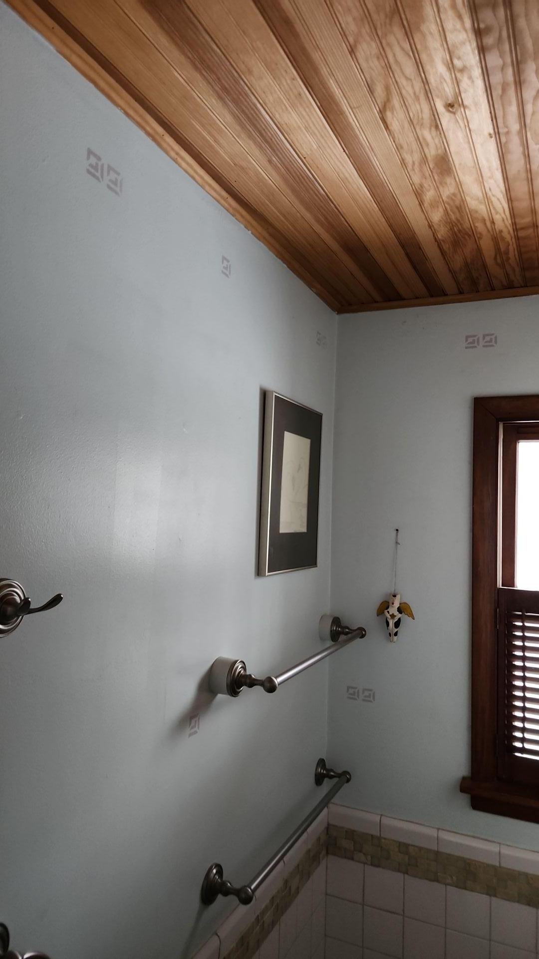 Mold Remediation