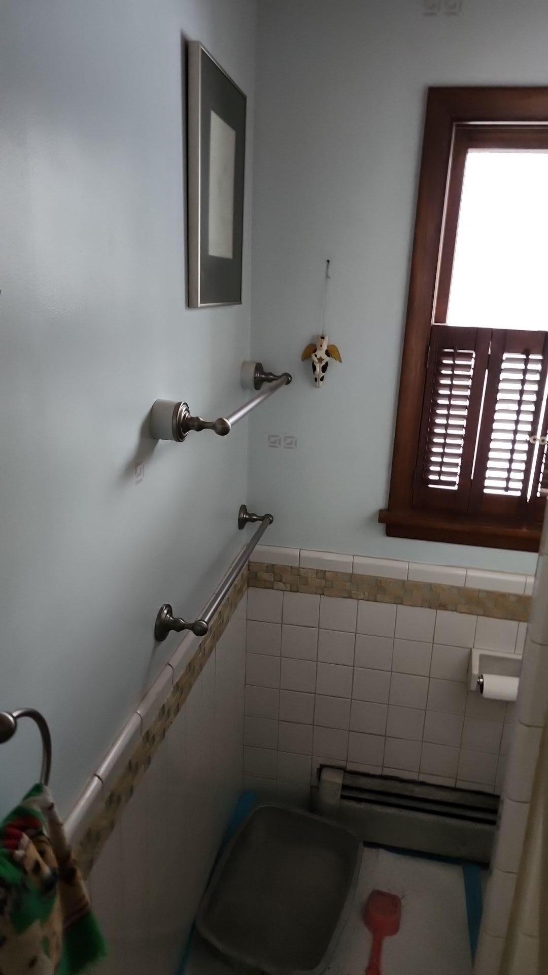 Mold Remediation