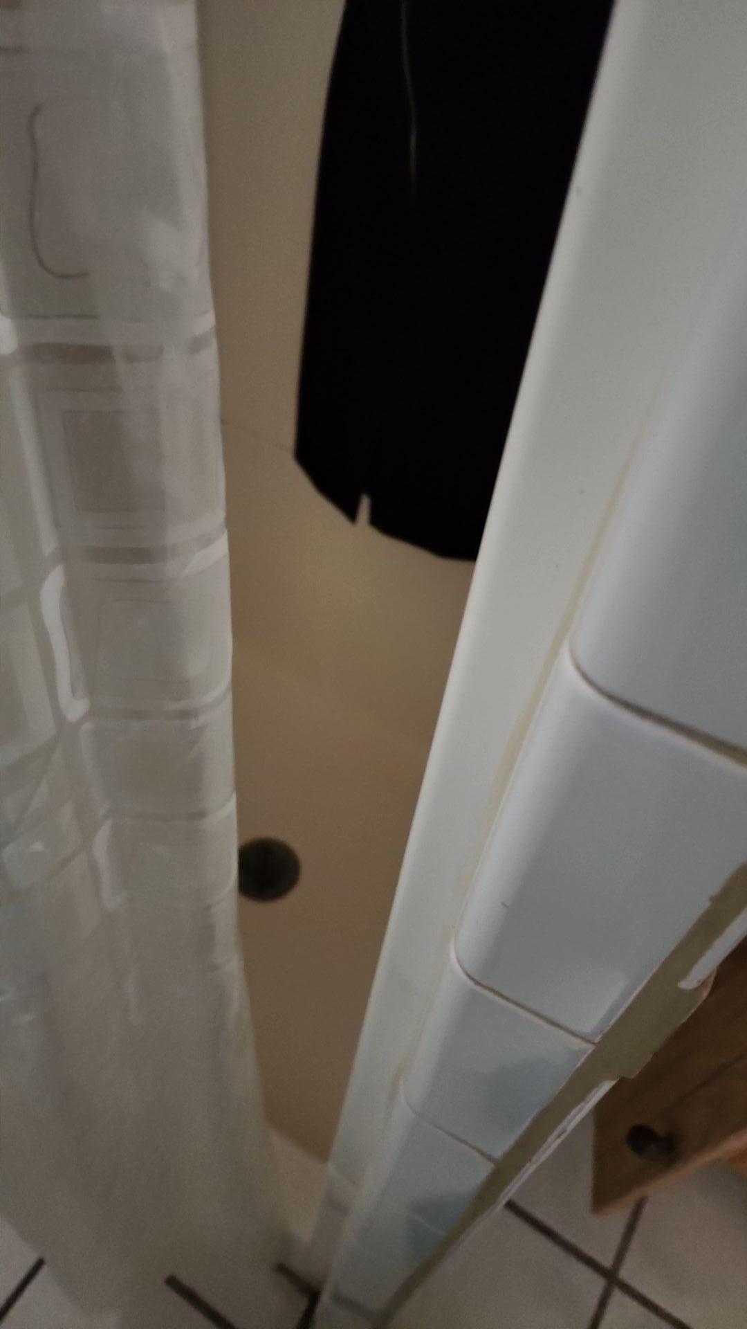 Mold Remediation