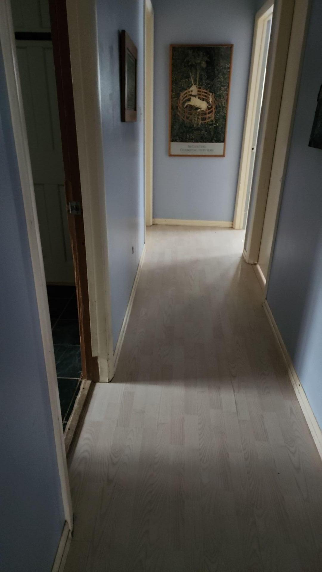 Mold Remediation