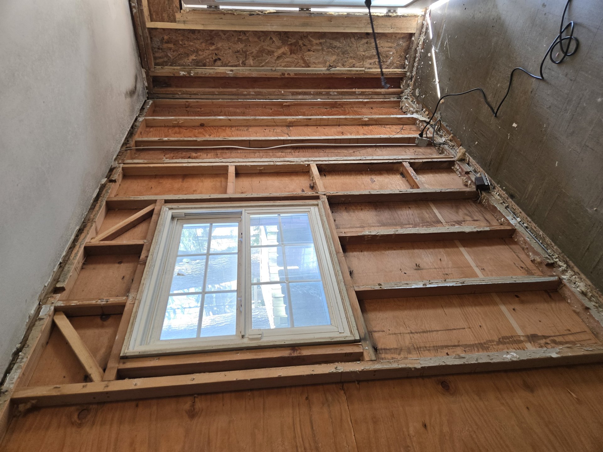 Mold Remediation