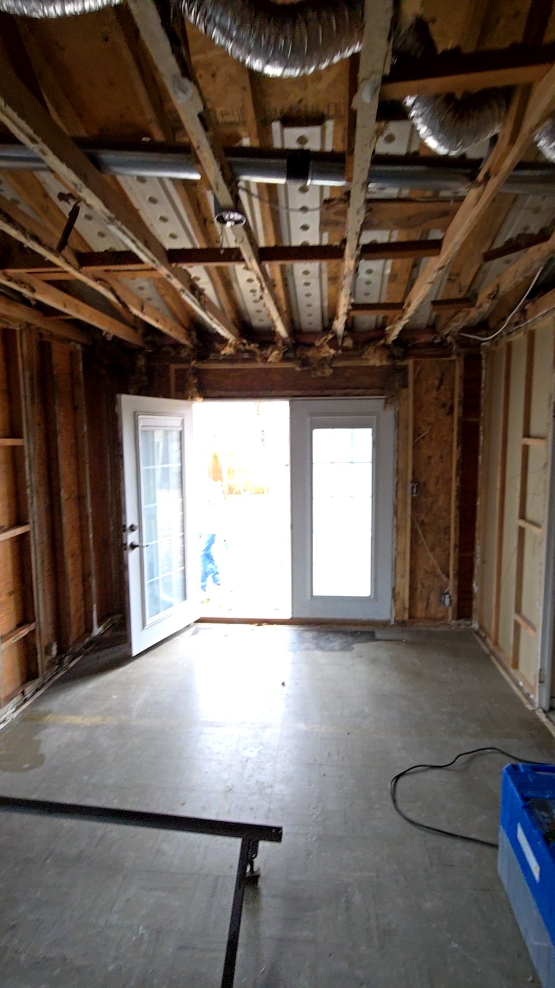 Mold Remediation