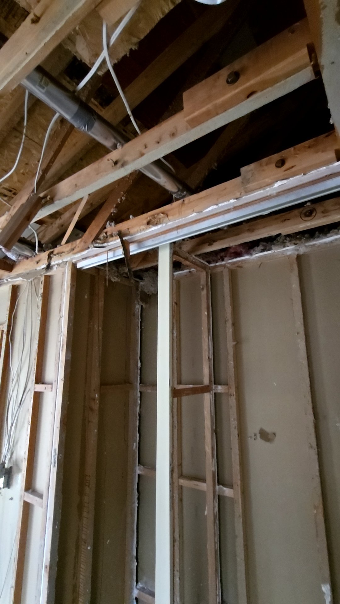 Mold Remediation