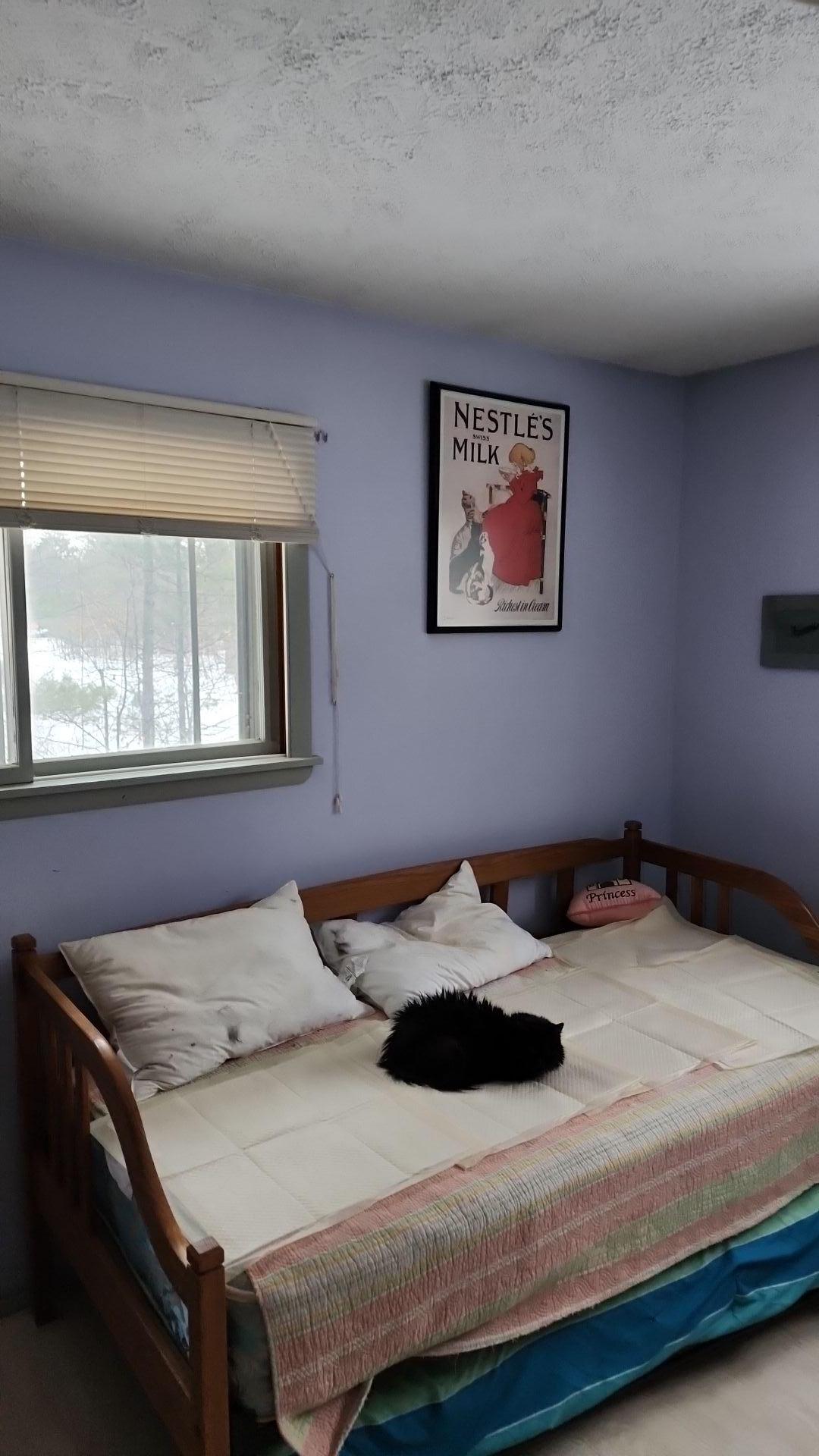 Mold Remediation
