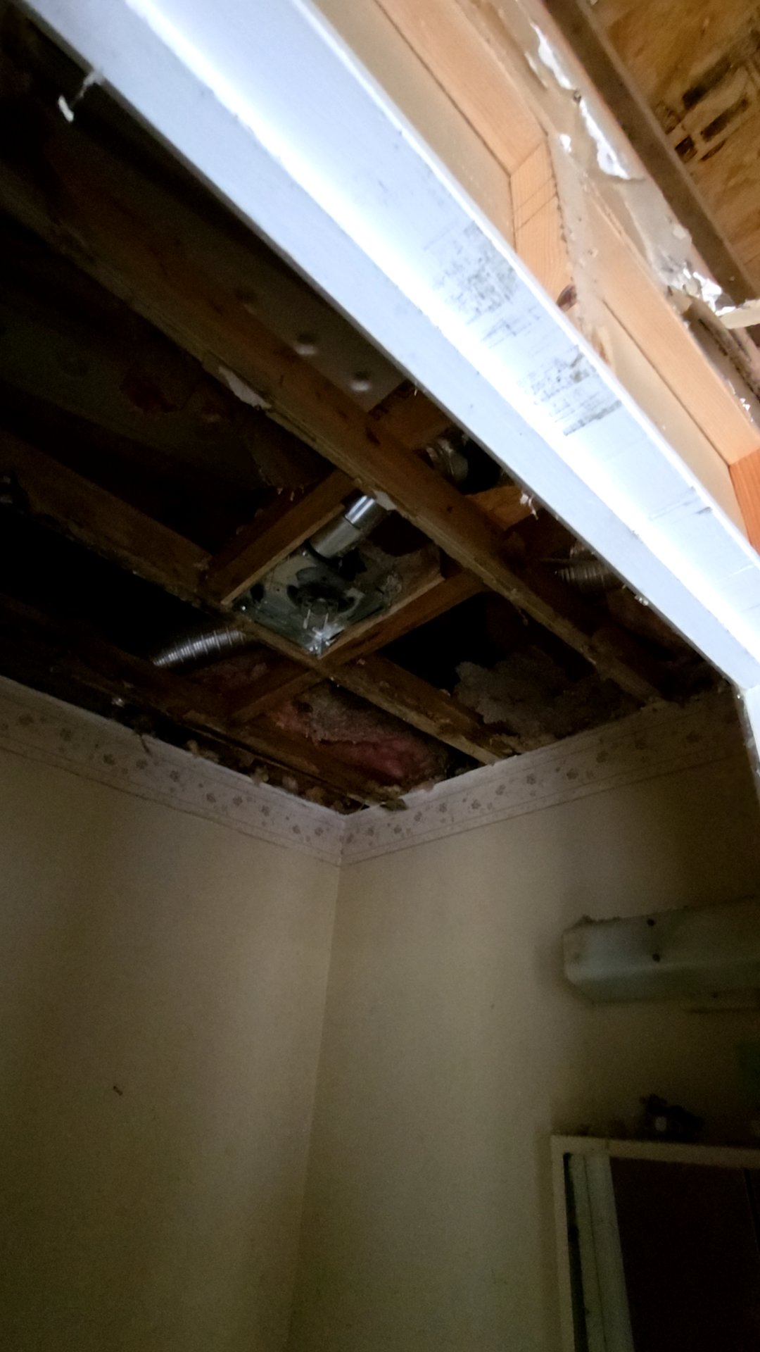Mold Remediation
