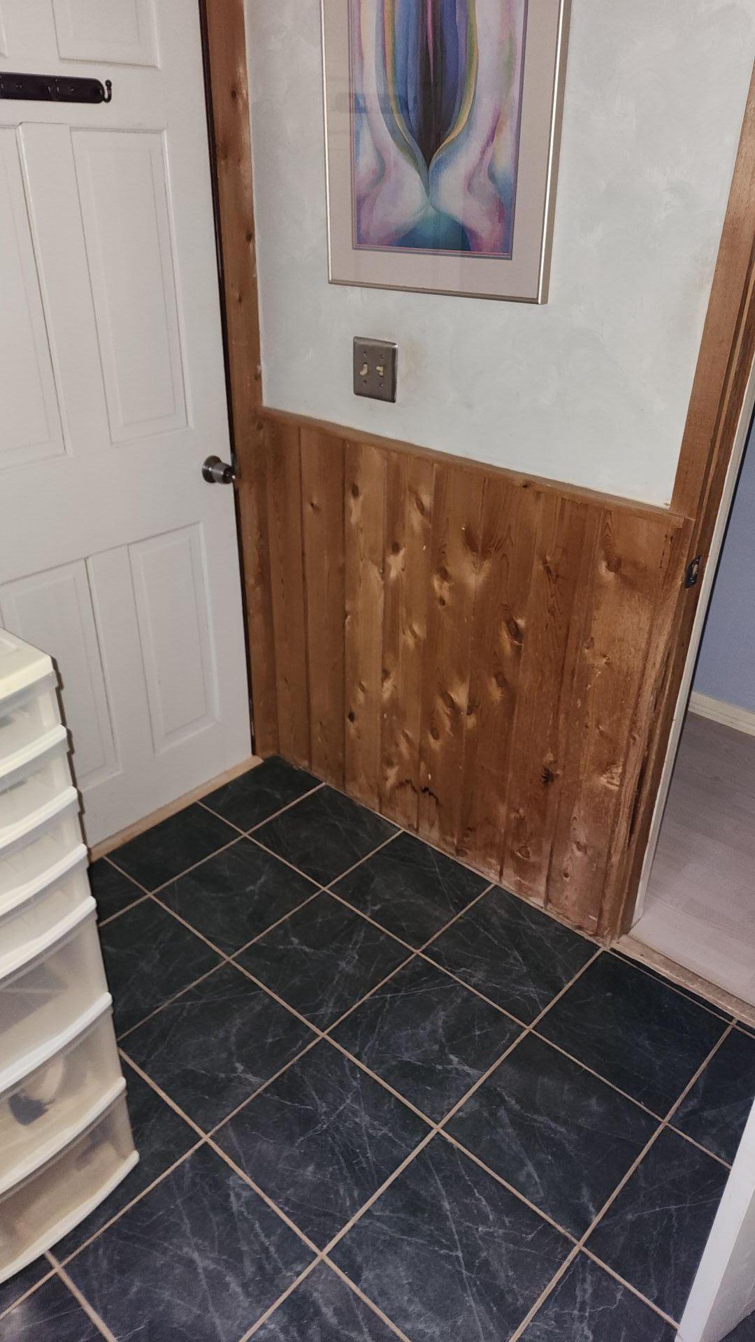 Mold Remediation