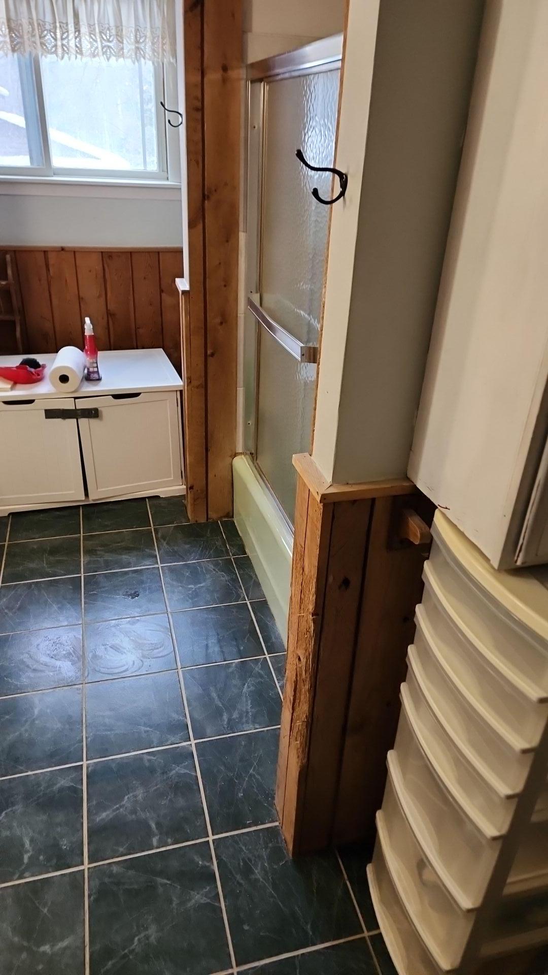 Mold Remediation