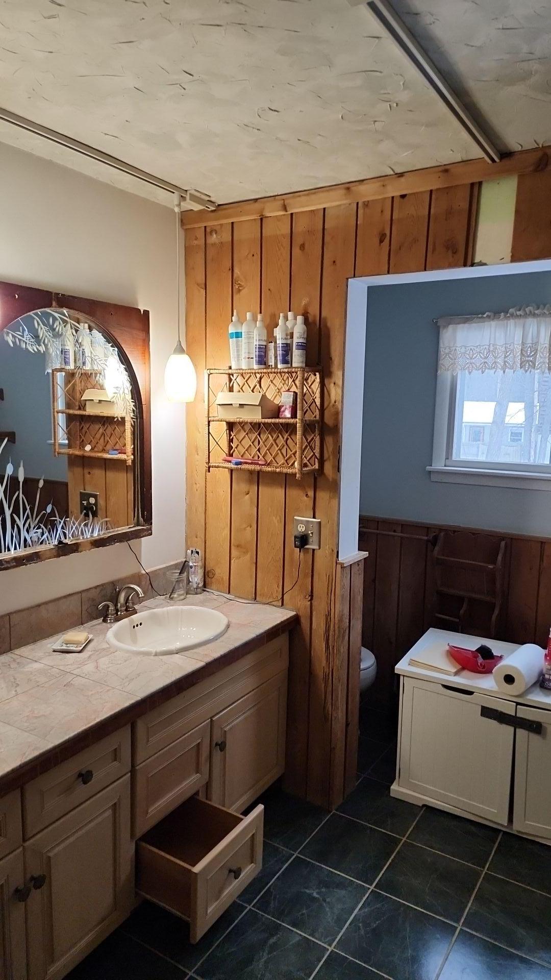 Mold Remediation