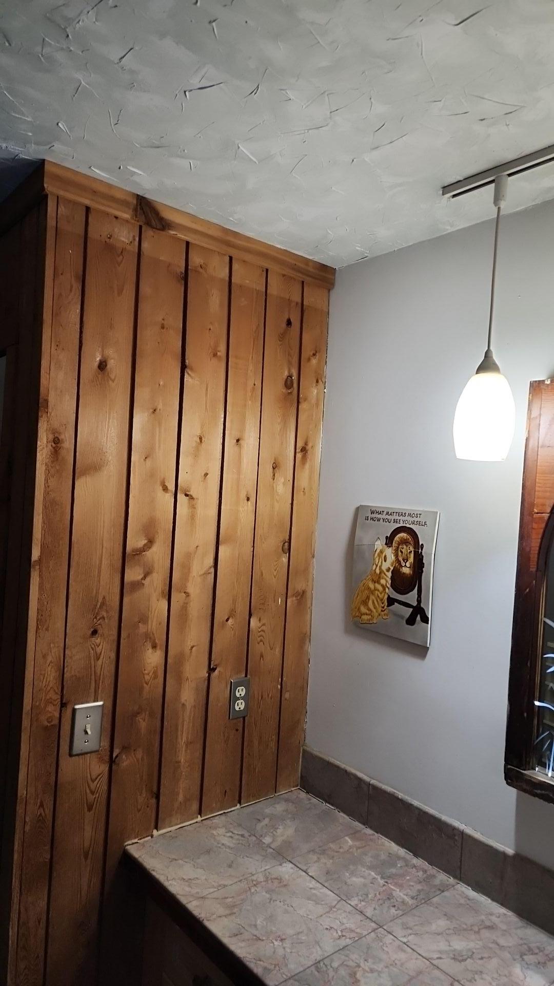 Mold Remediation