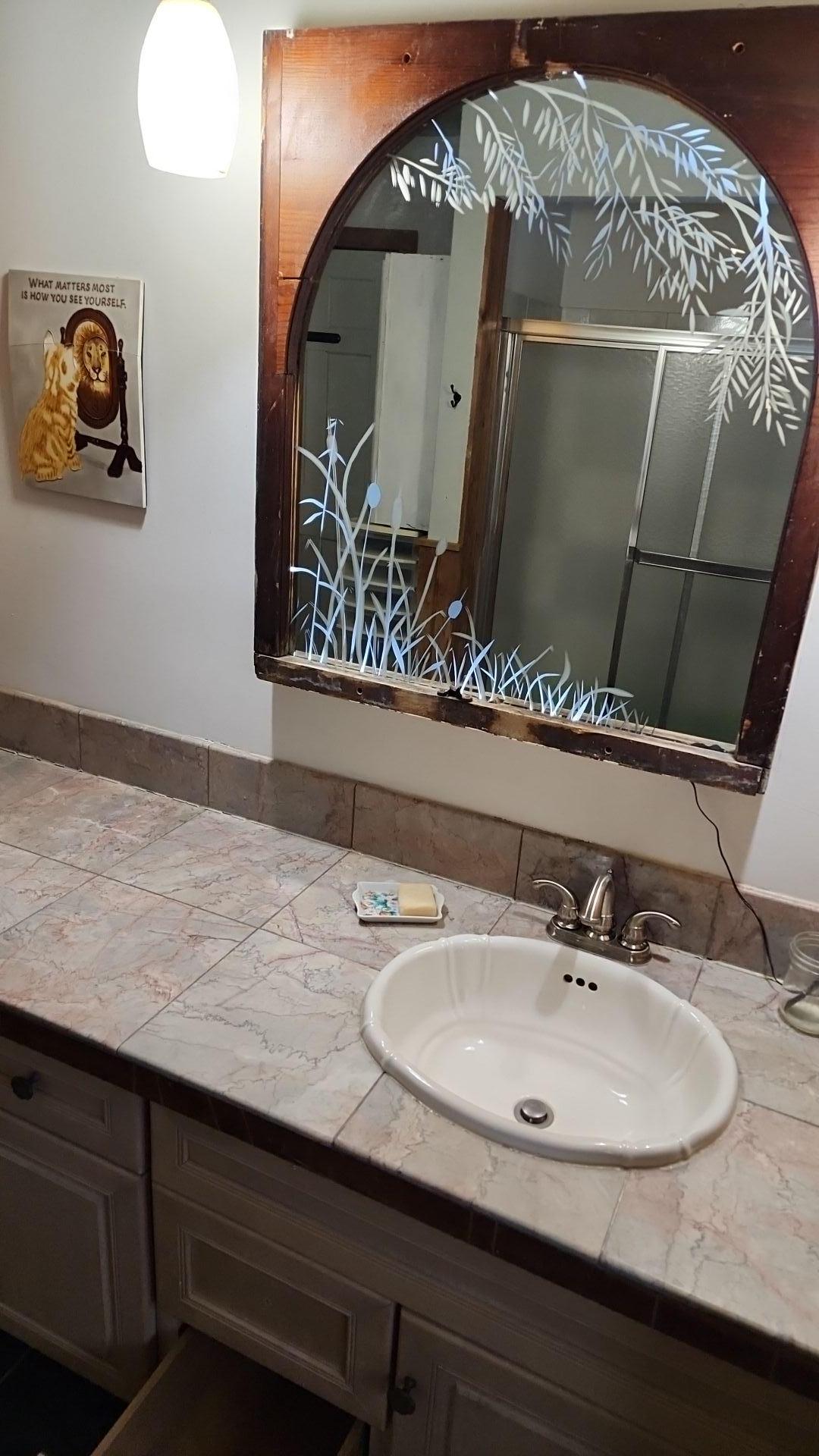 Mold Remediation