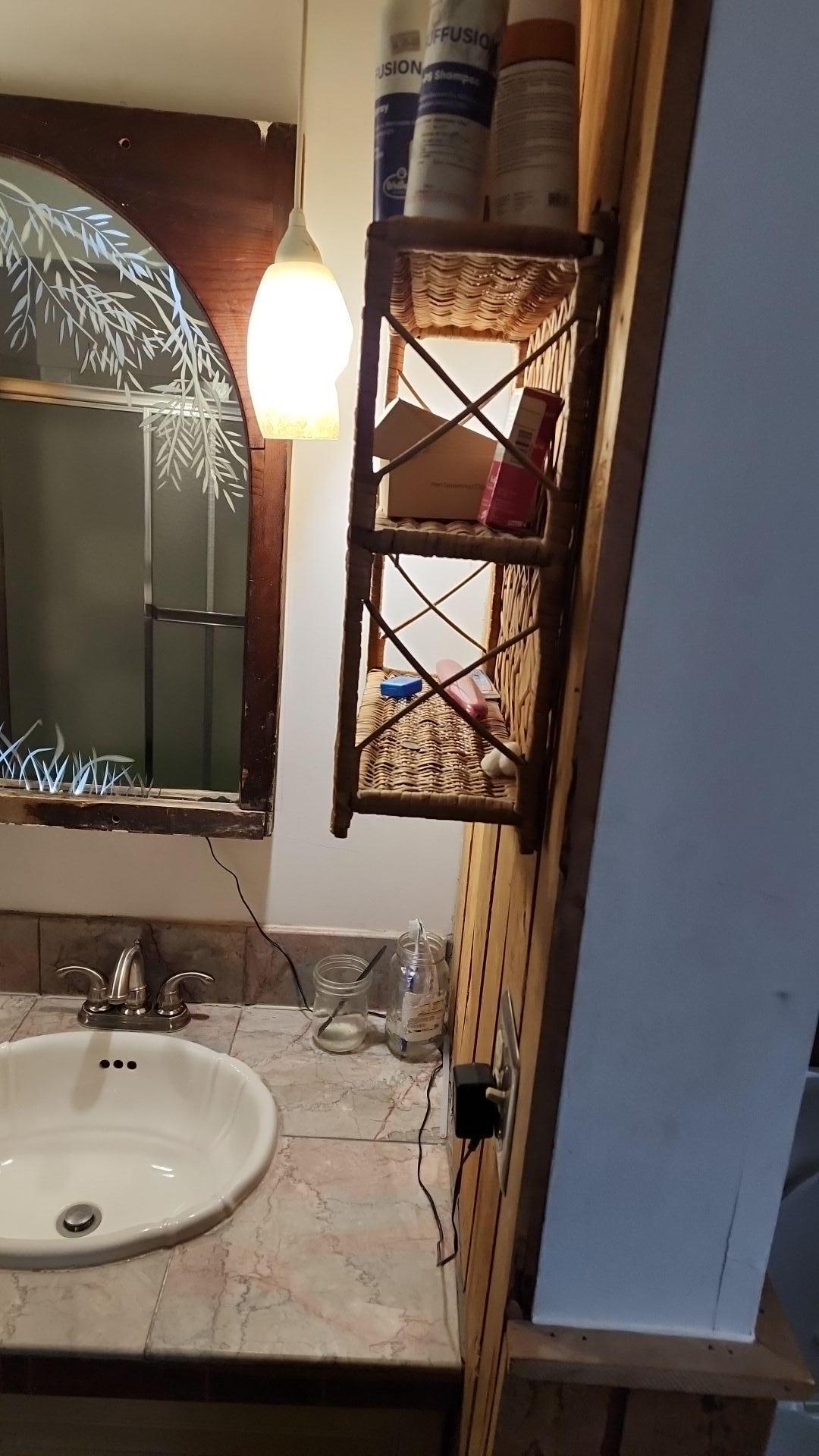 Mold Remediation