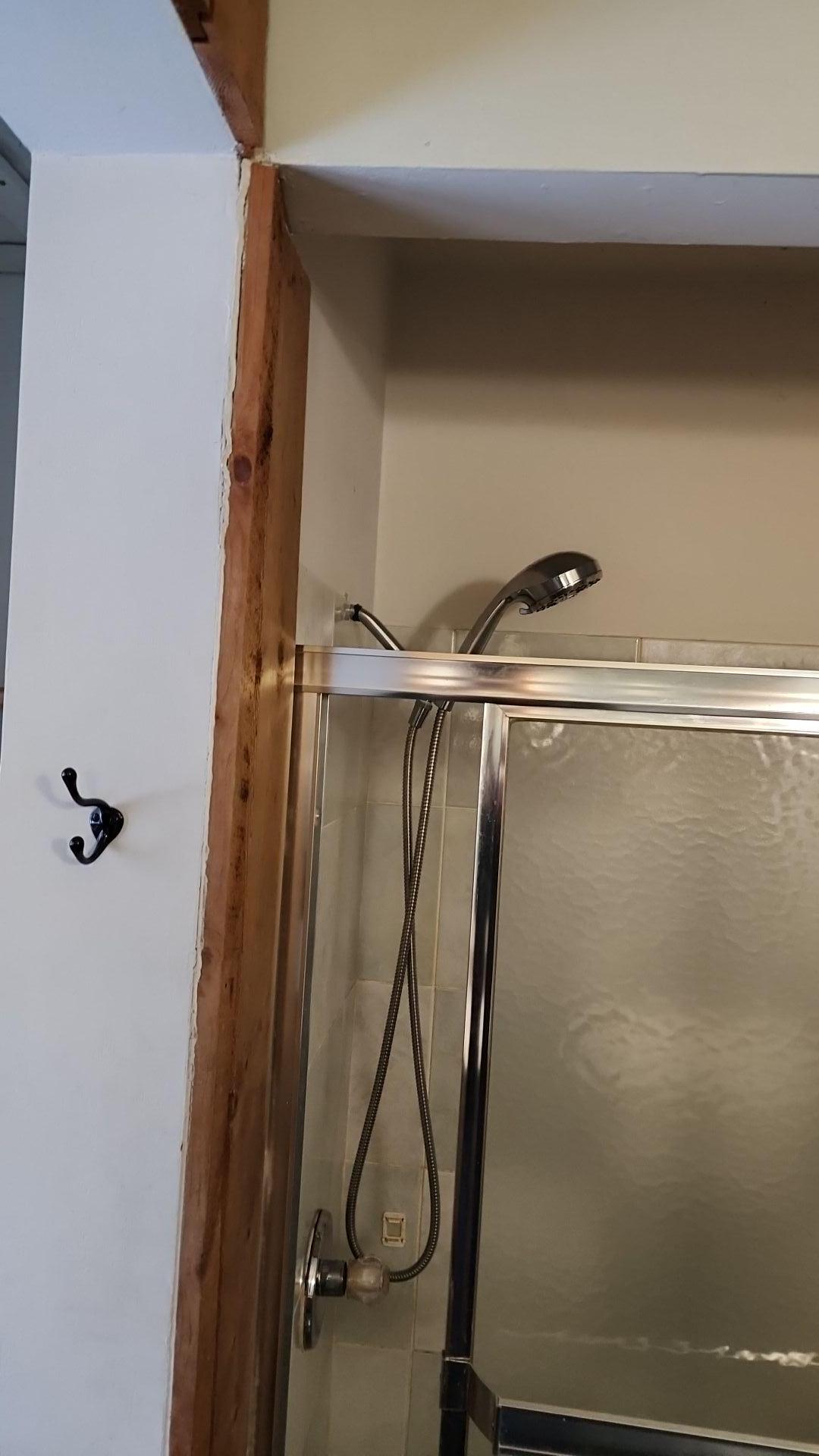 Mold Remediation