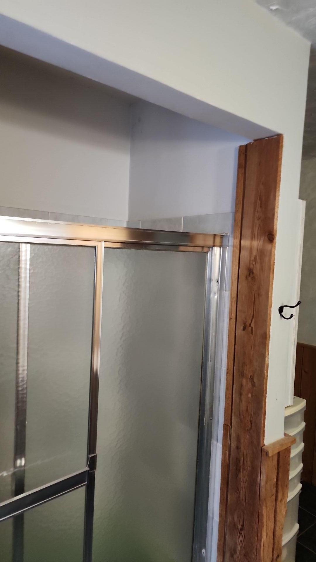 Mold Remediation