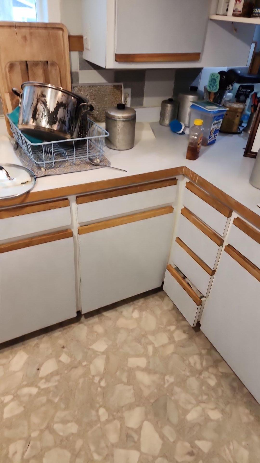 Mold Remediation