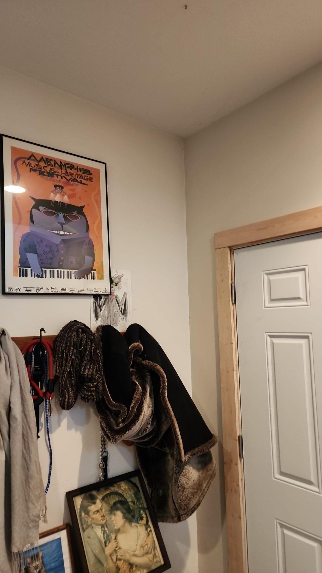 Mold Remediation