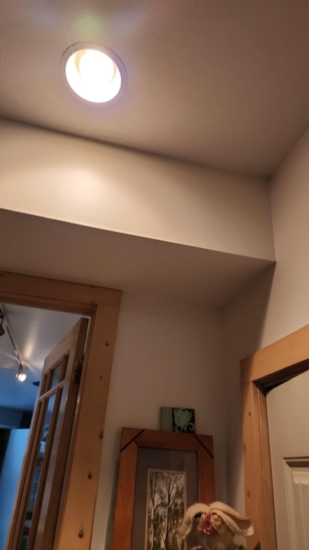 Mold Remediation