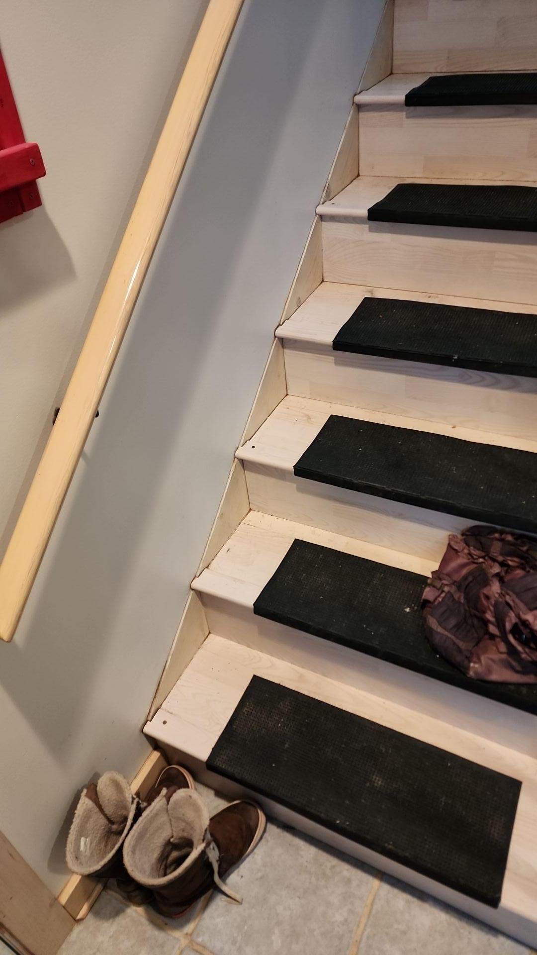 Mold Remediation