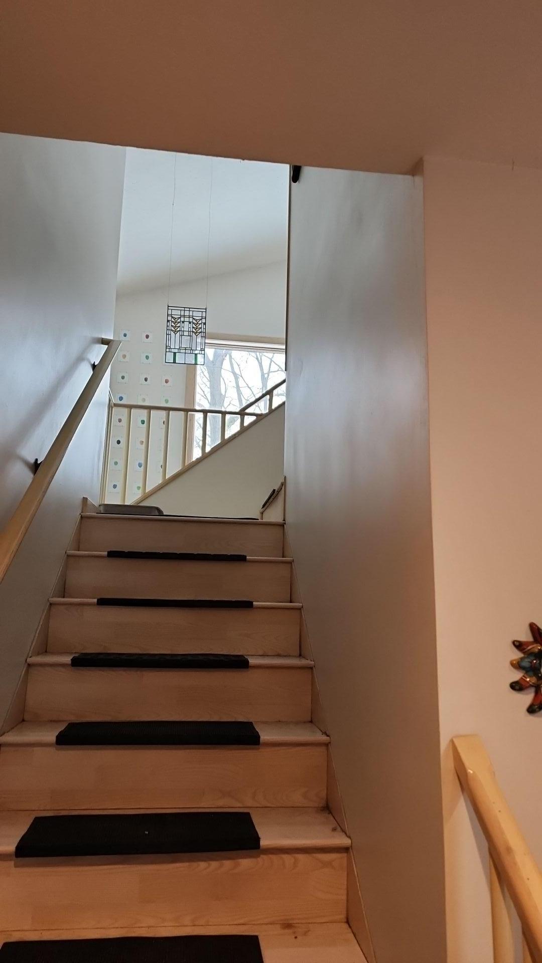 Mold Remediation