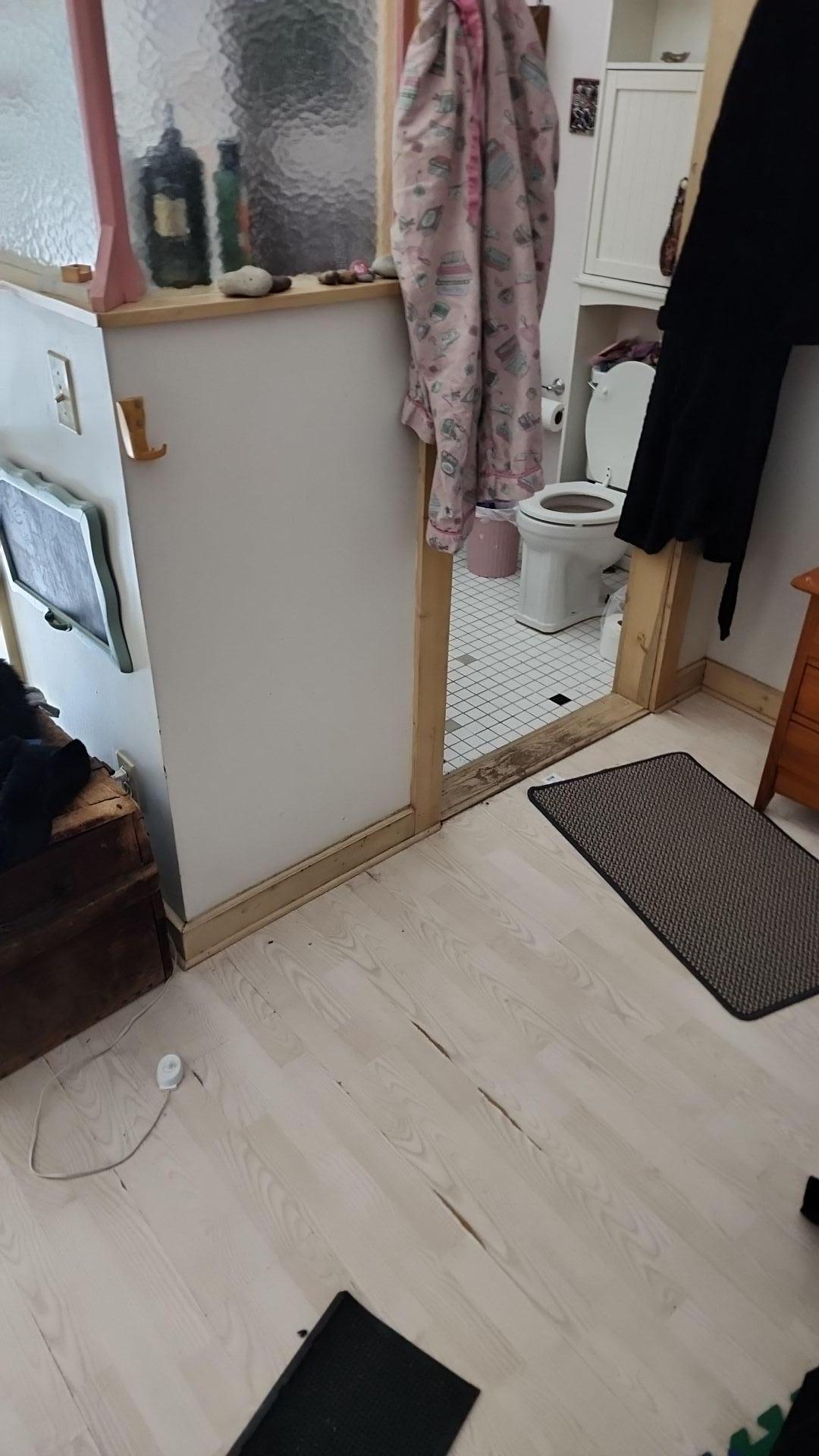 Mold Remediation