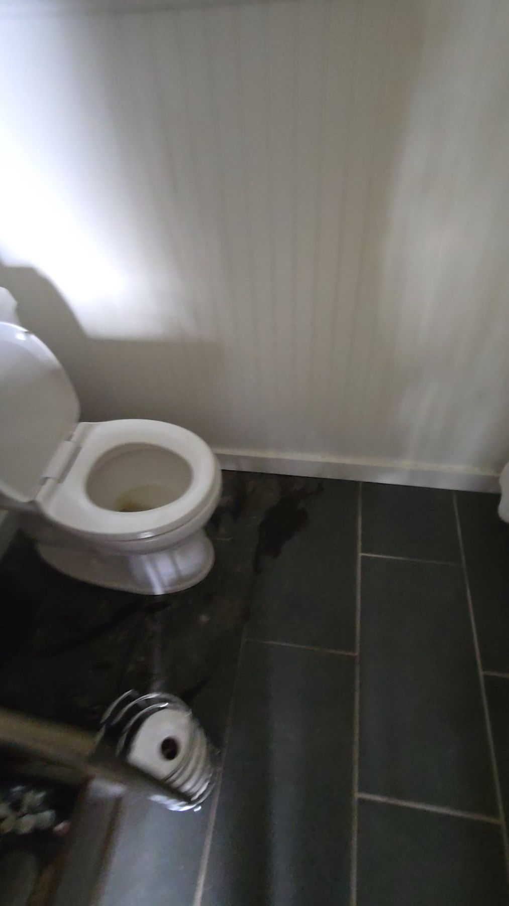 Water Damage Restoration