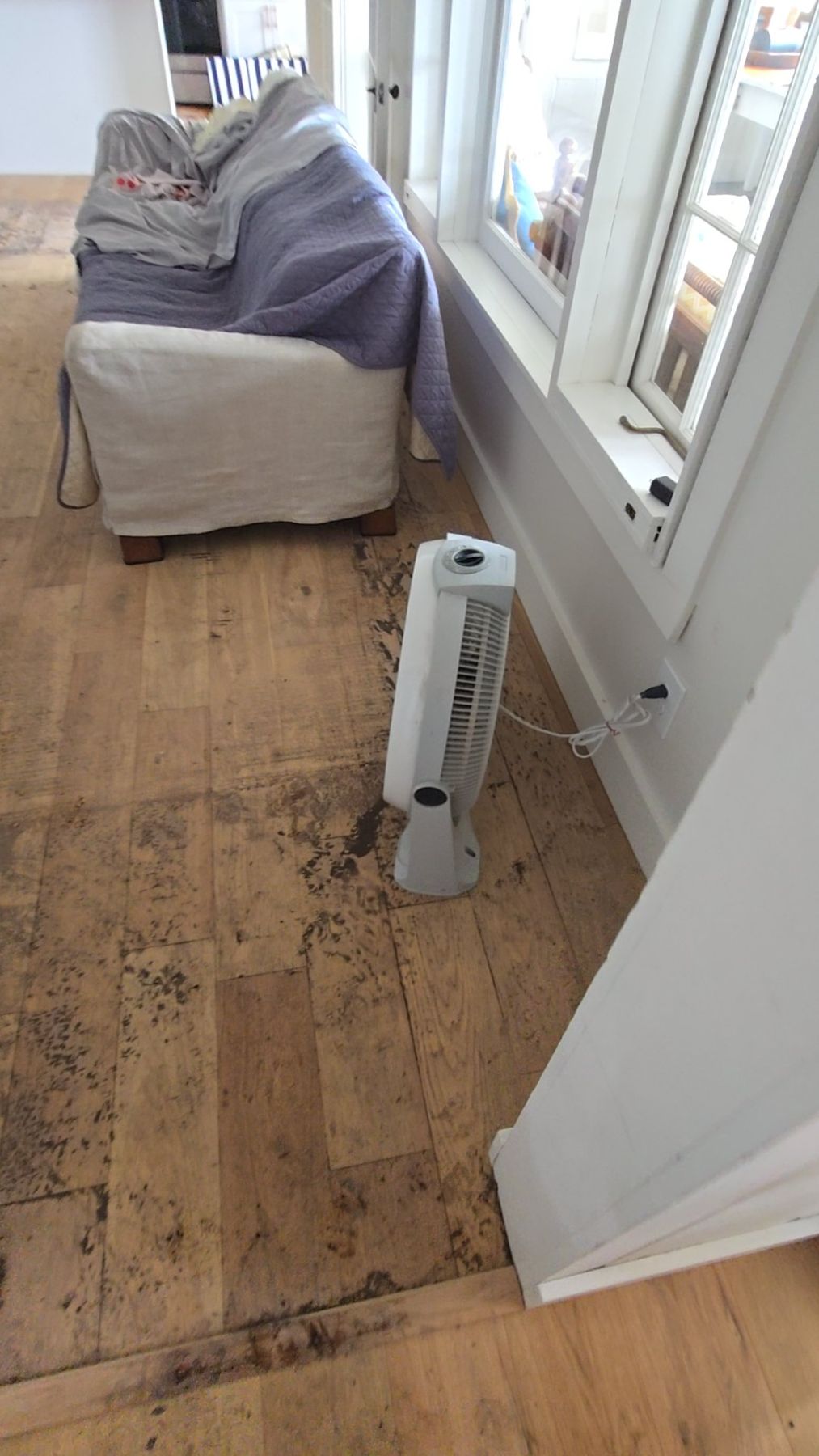 Water Damage Restoration