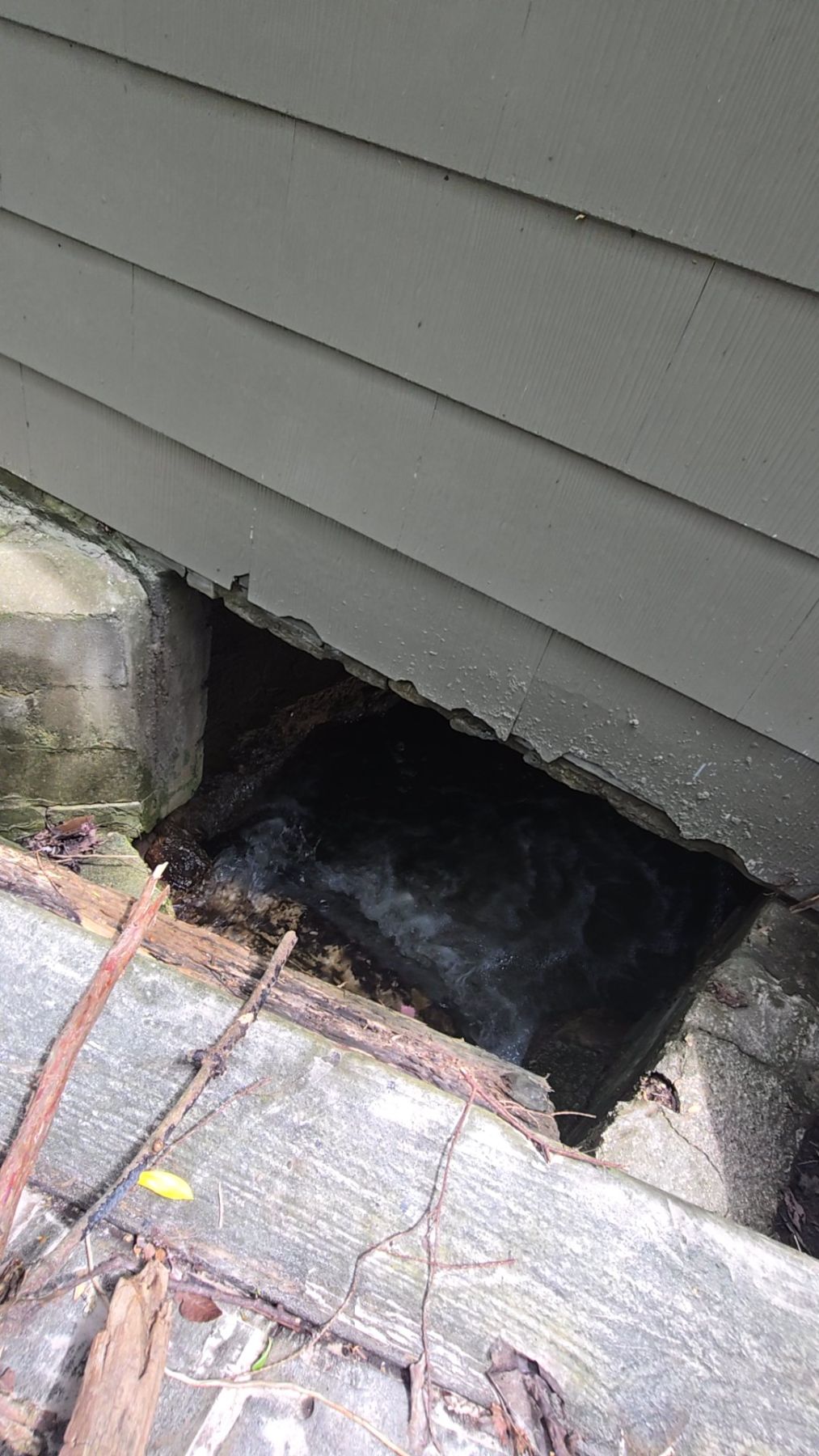 Water Damage Restoration